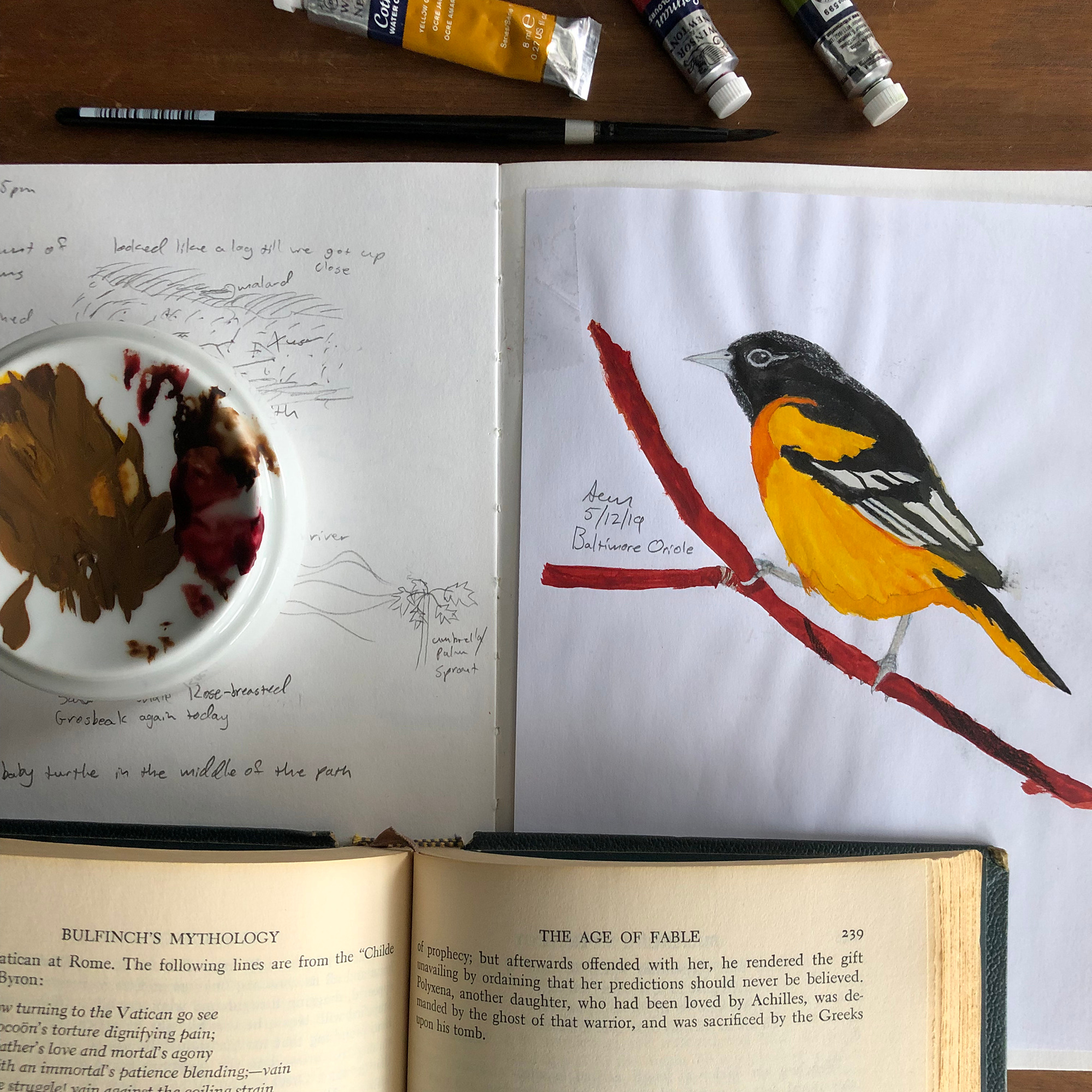 Charlotte Mason Poetry (recent episodes)