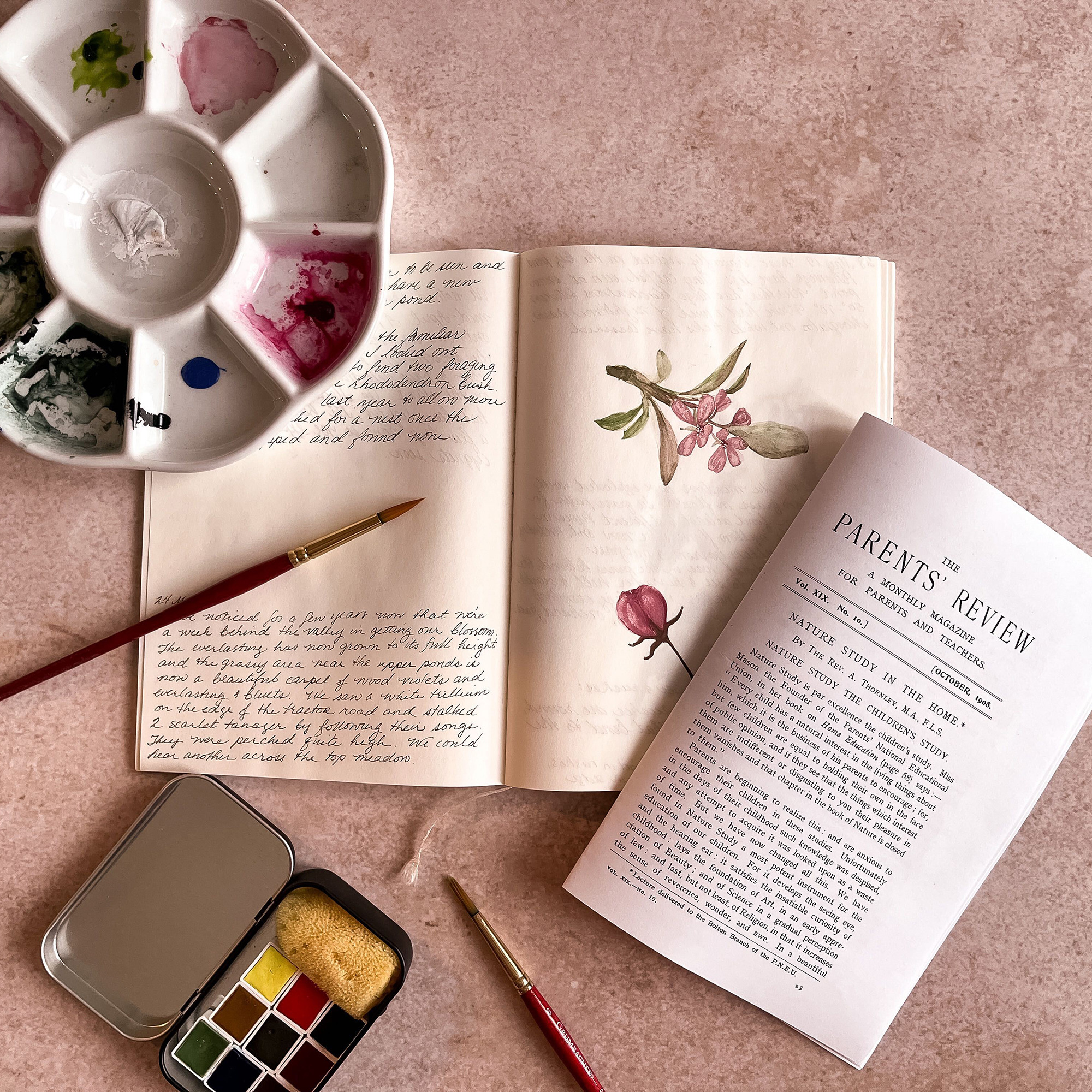Nature Study in the Home episode artwork