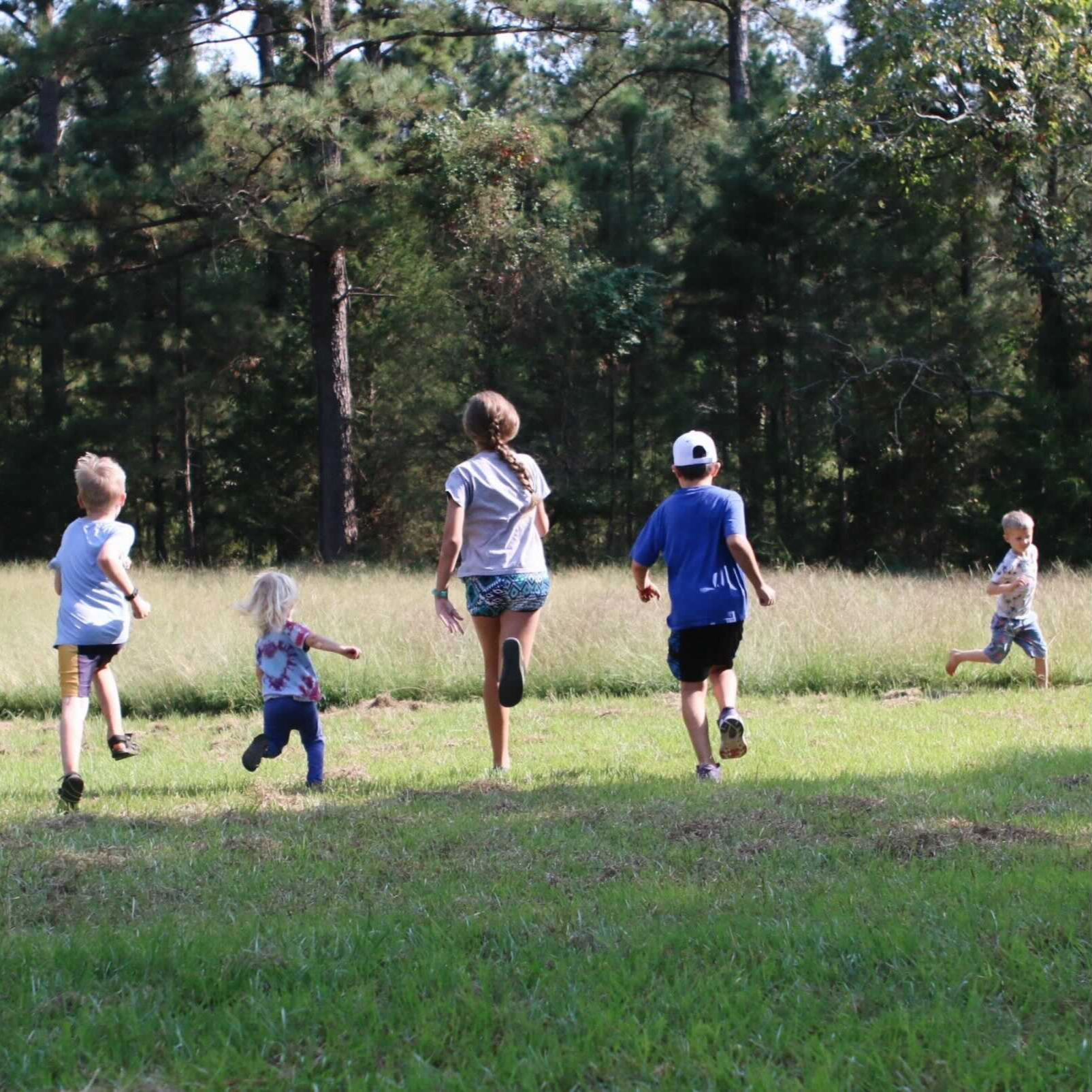 Charlotte Mason Poetry (recent episodes)