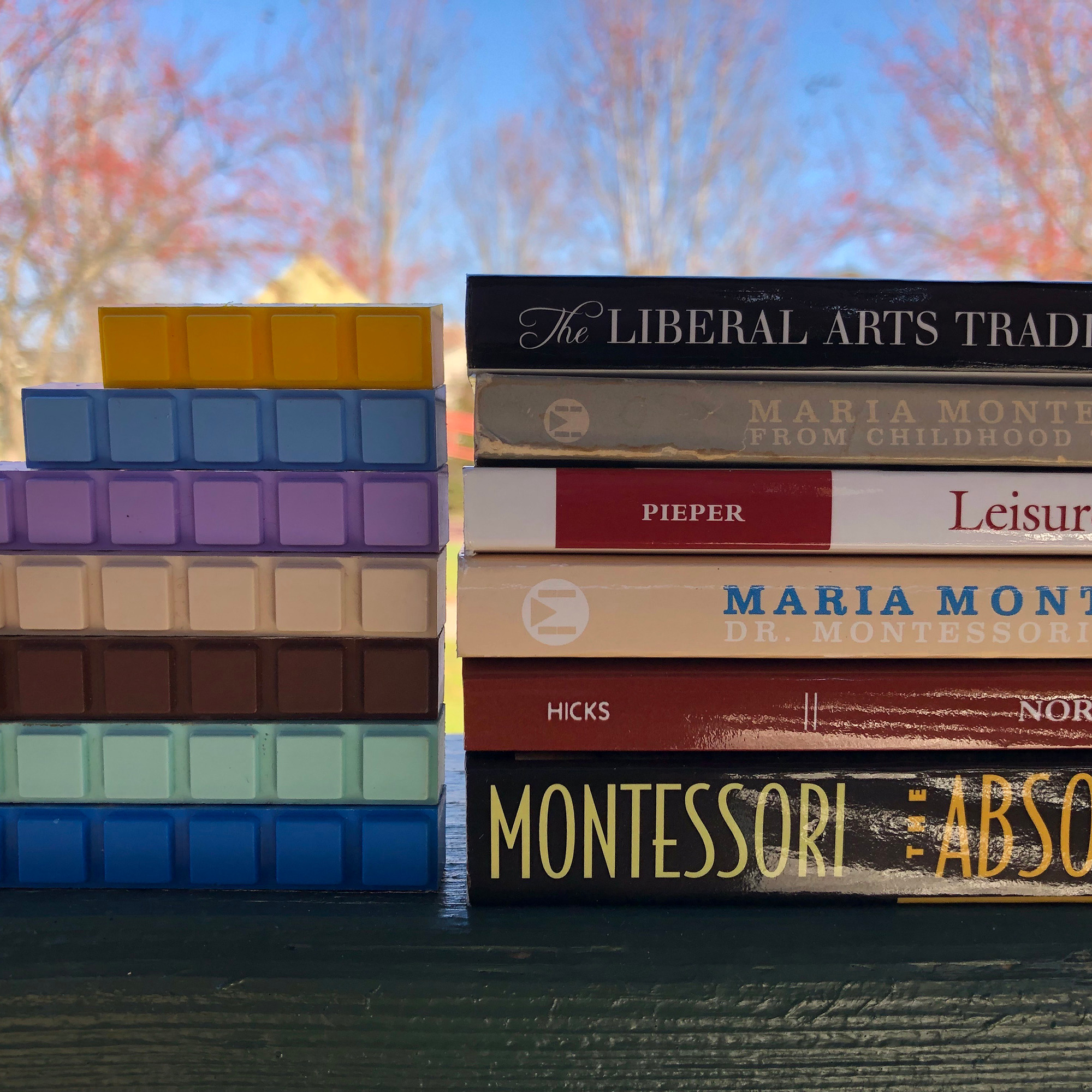 Maria Montessori and the Classical Tradition episode artwork