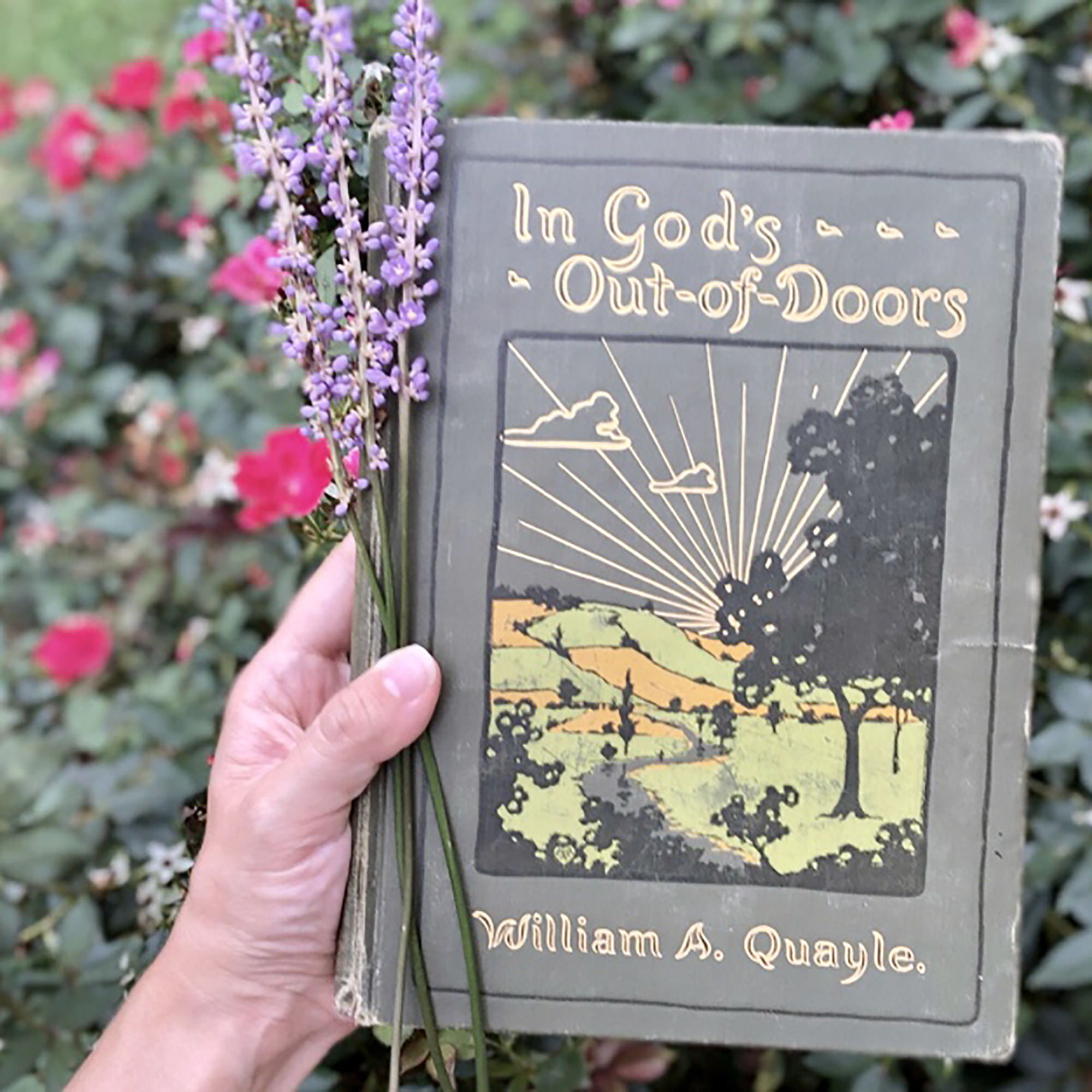 Into God’s Out-of-doors episode artwork