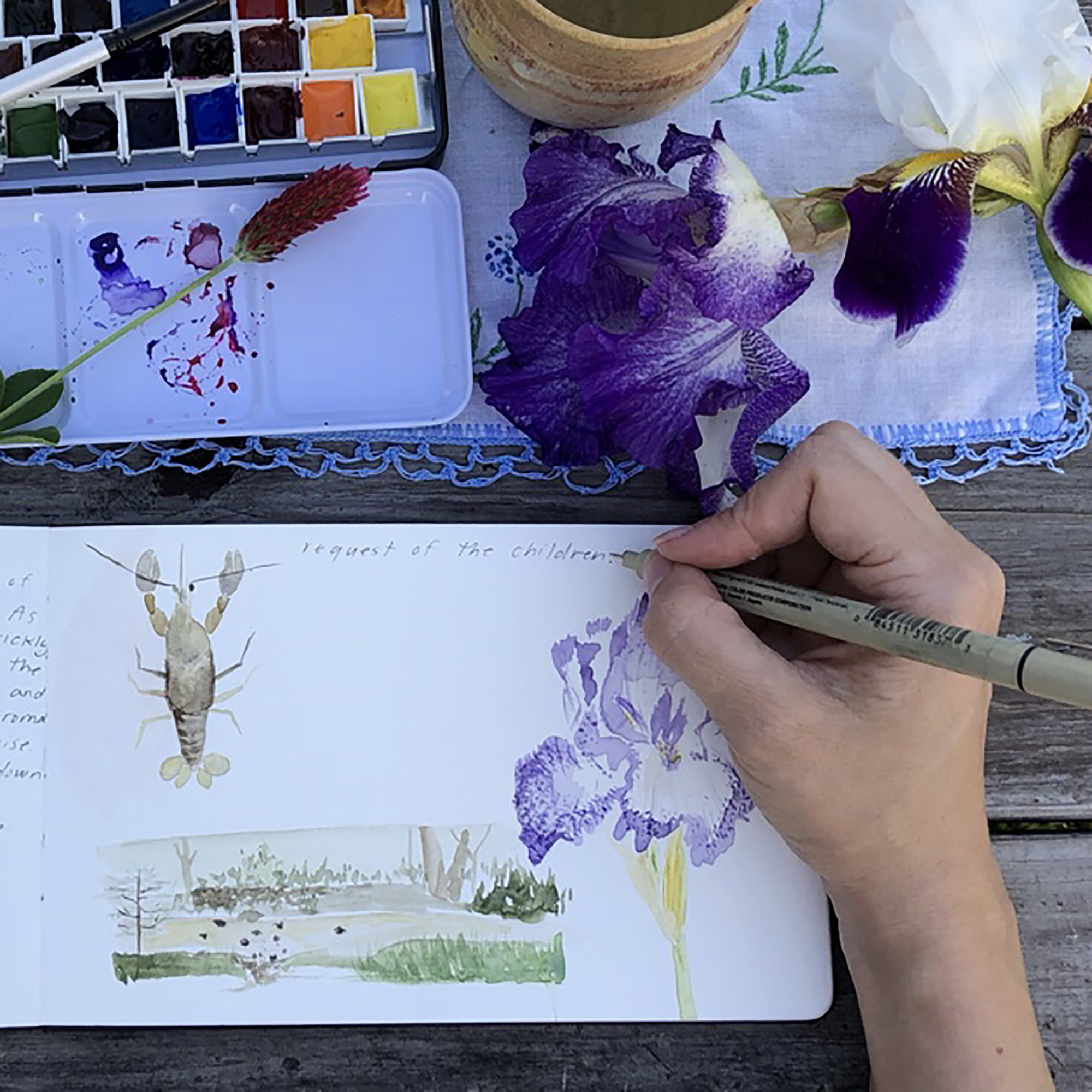 Nature Notebooks in the 21st Century episode artwork