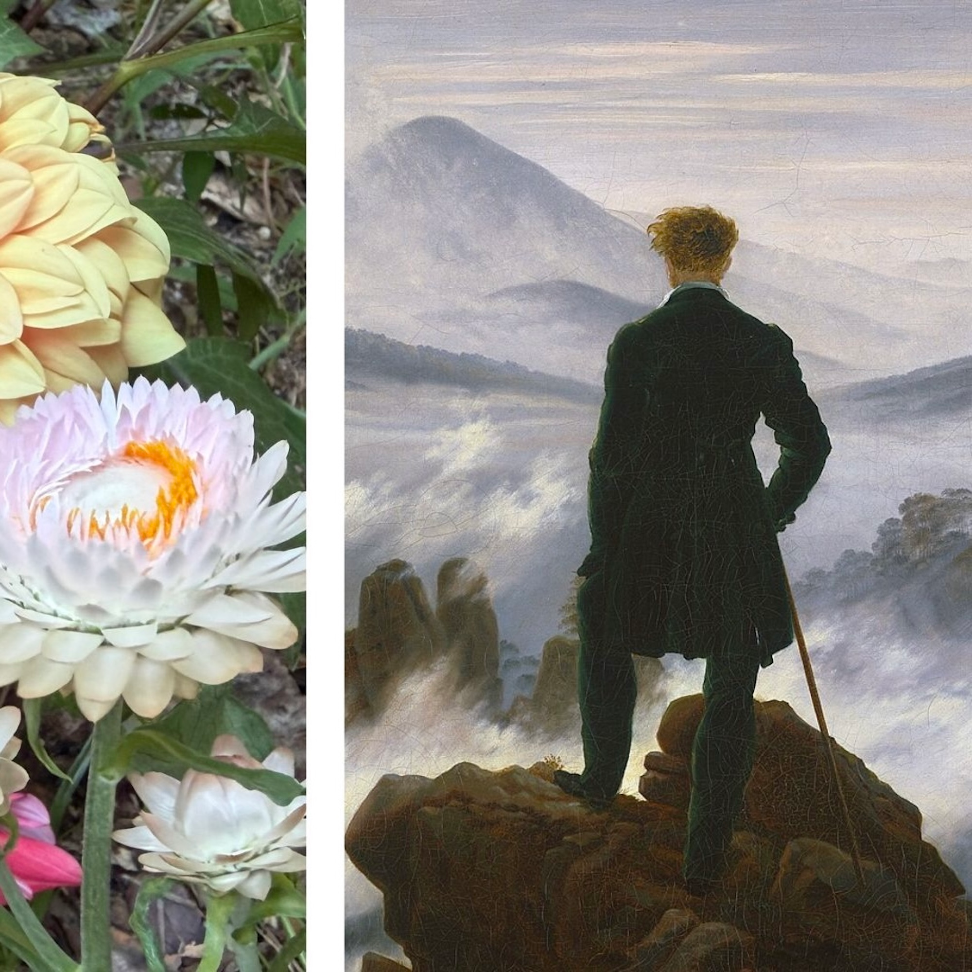 Charlotte Mason Poetry (recent episodes)
