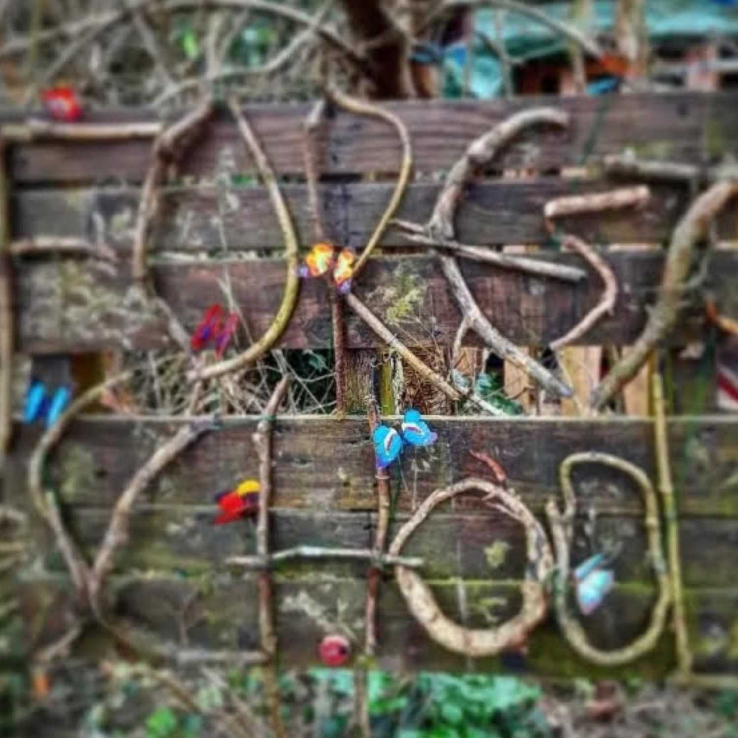 Forest School - in the words of the children of Chartham Primary School