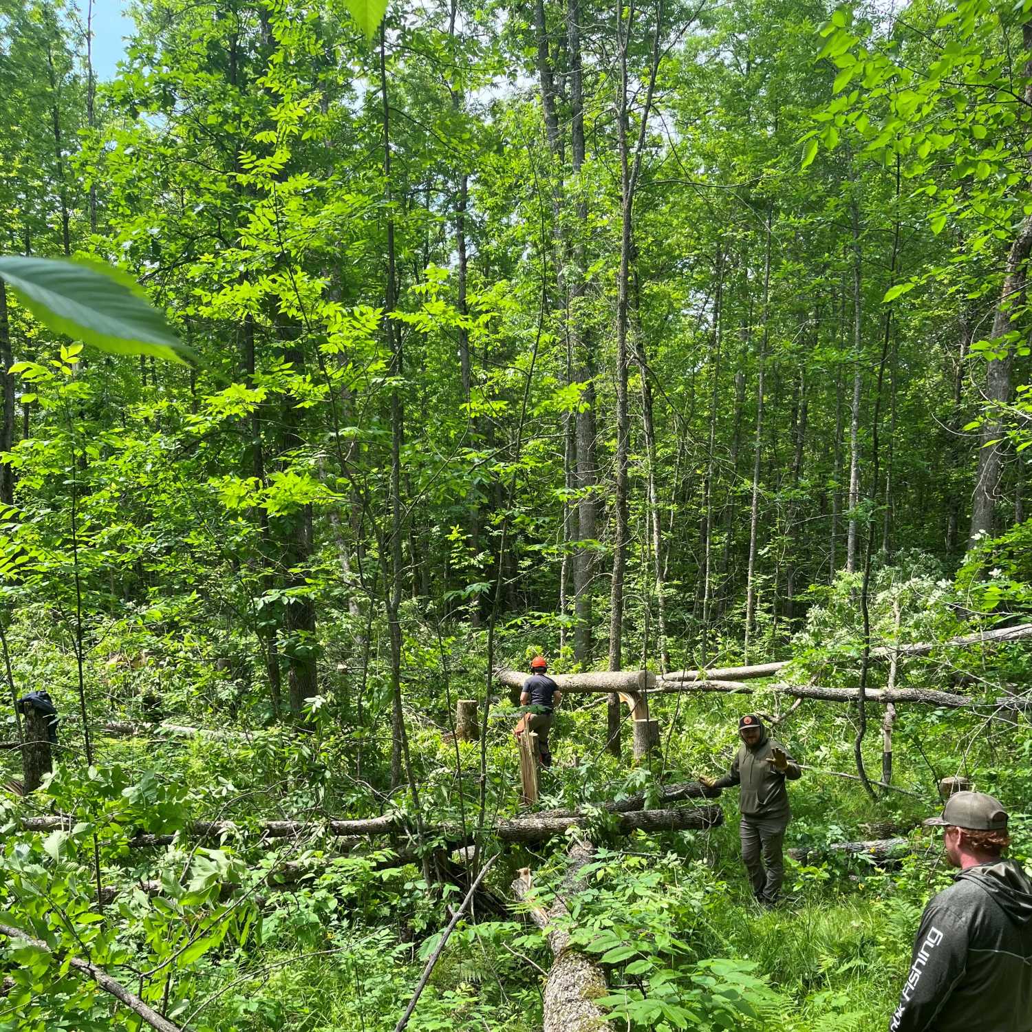 Episode 11: Purpose-filled Habitat Management with Sam Tumberg
