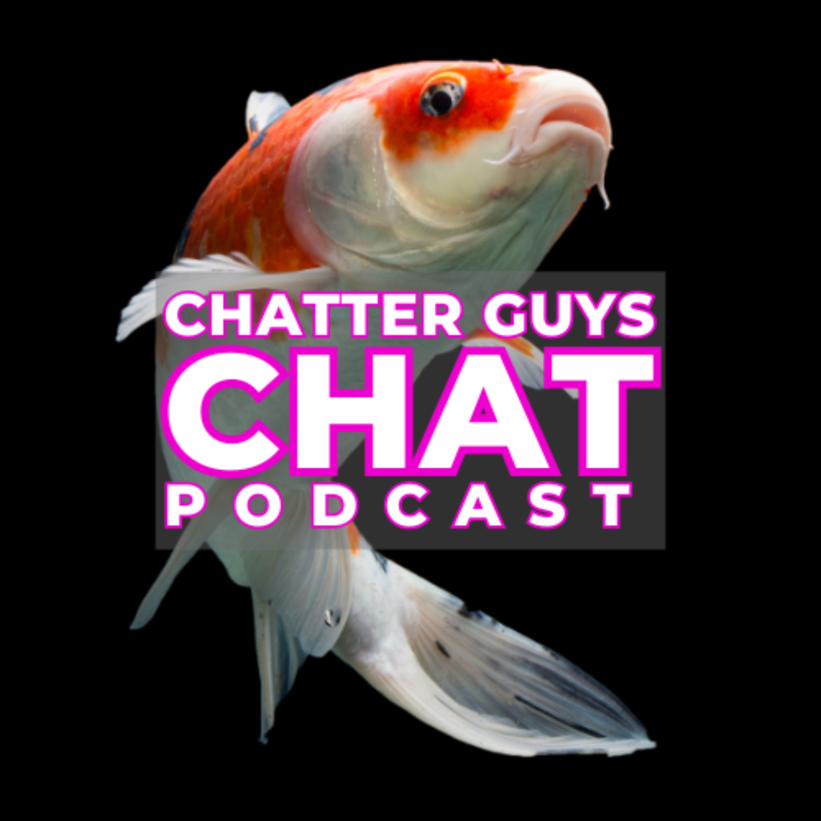 Our week, plant shopping, koi carp, benidorm pride and eurovision thoughts! episode artwork