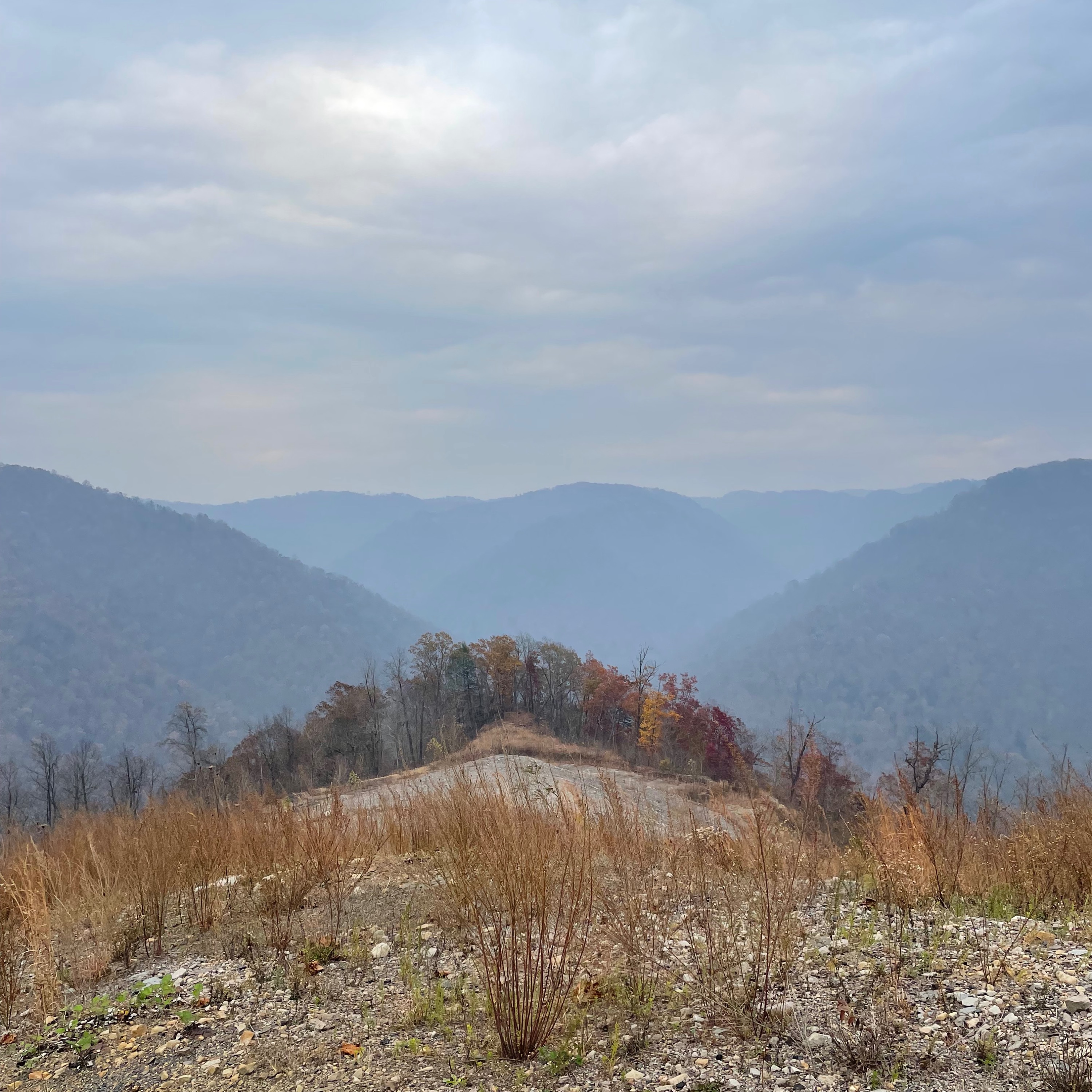 Cotton Hill Baptist Church 