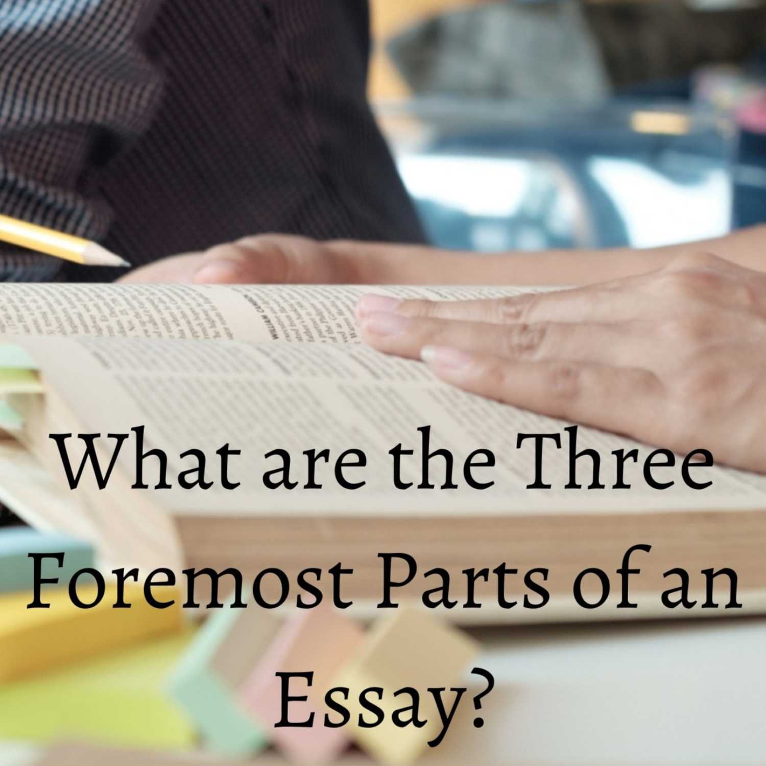 What are the three foremost parts of an essay?