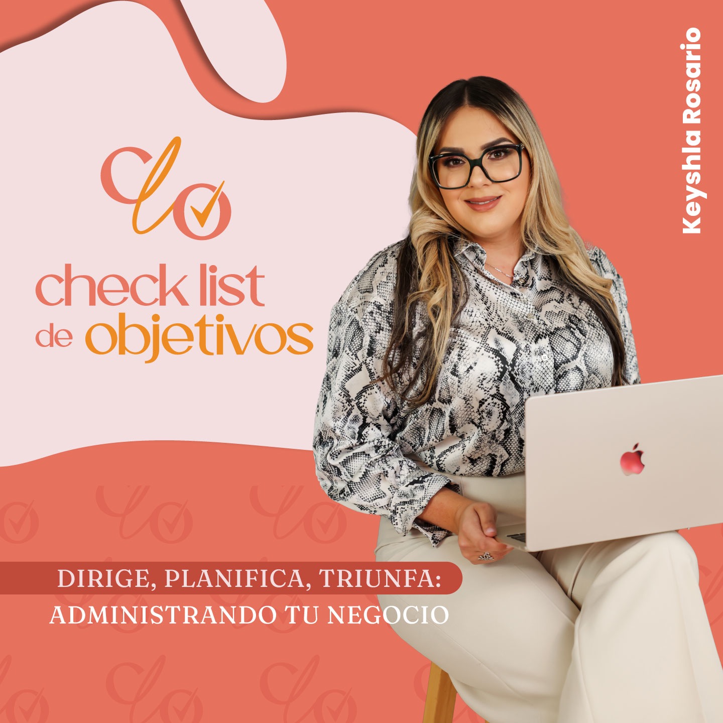 Check List de Objetivos
