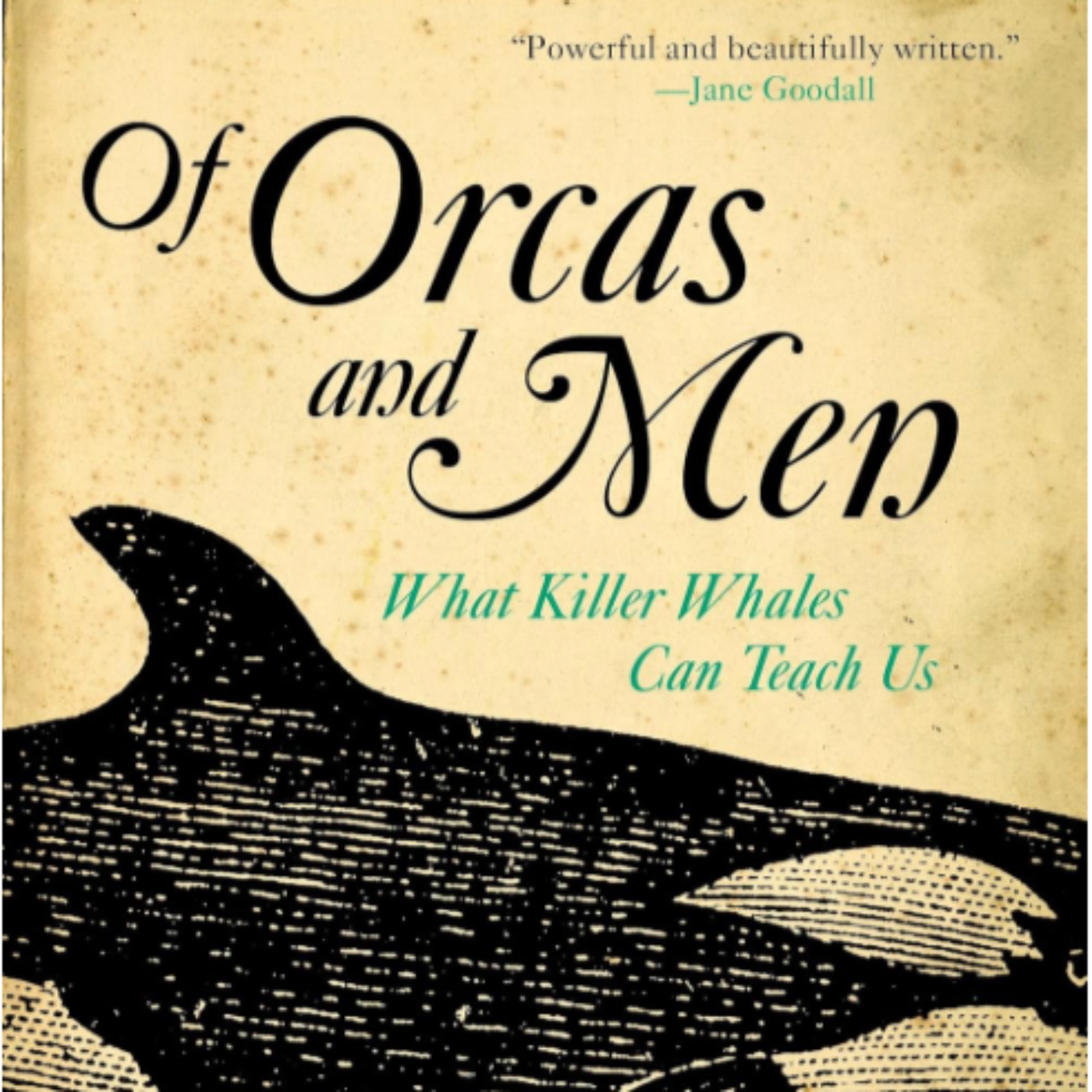 Clip: David Neiwert on The Different Habitats and Ecotypes of Orcas 