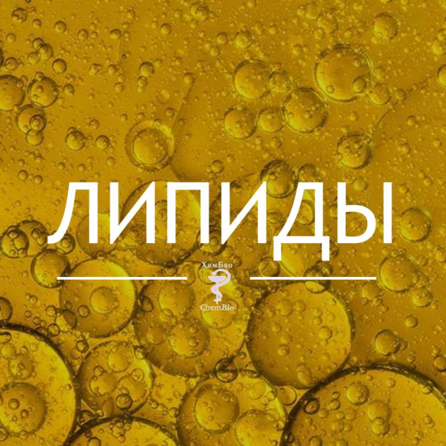 Липиды