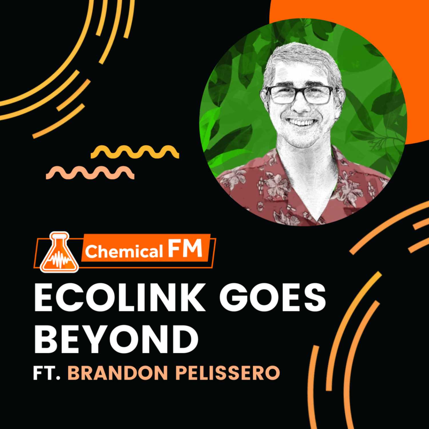Ecolink Goes Beyond Ft. Brandon Pelissero episode artwork