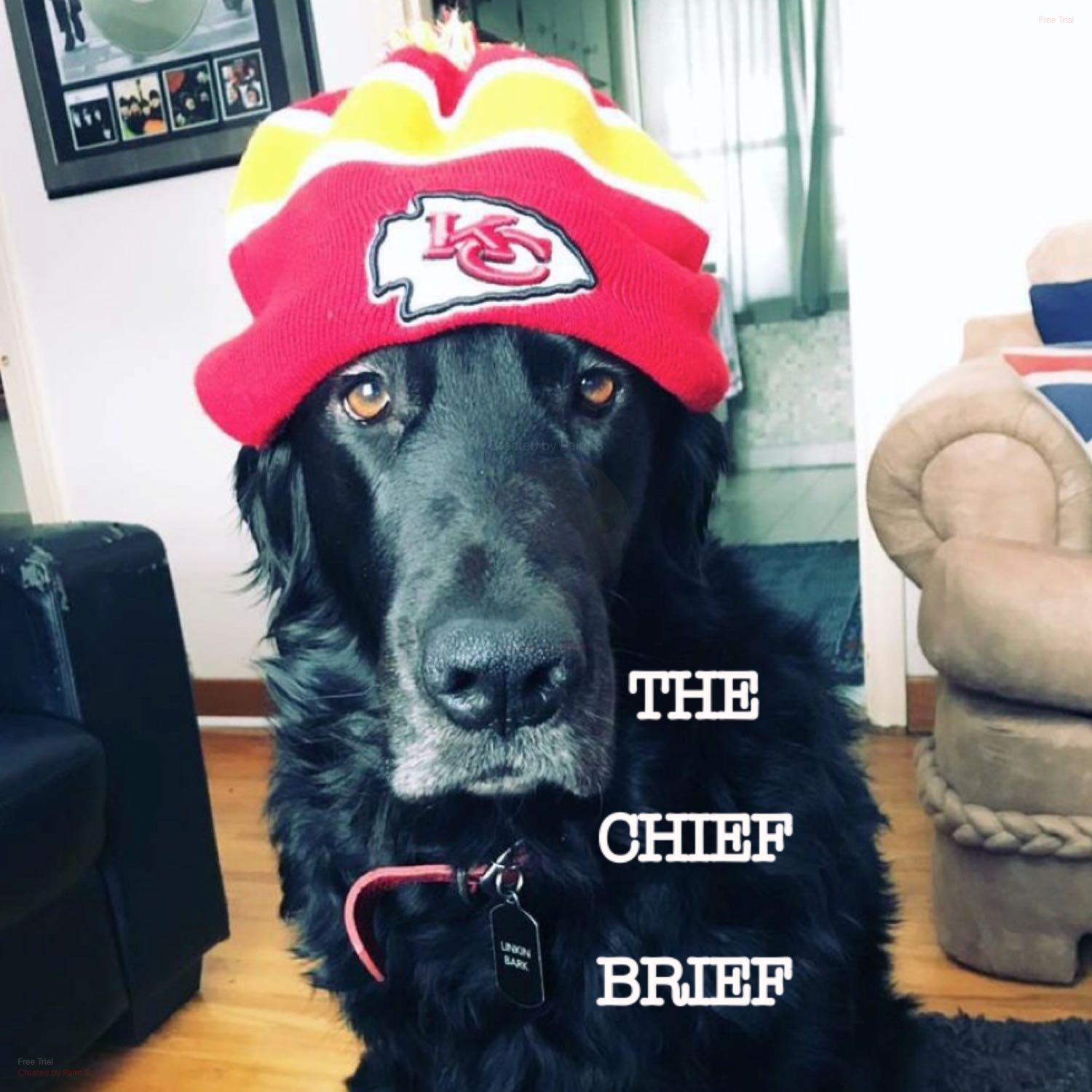 The Chief Brief podcast artwork