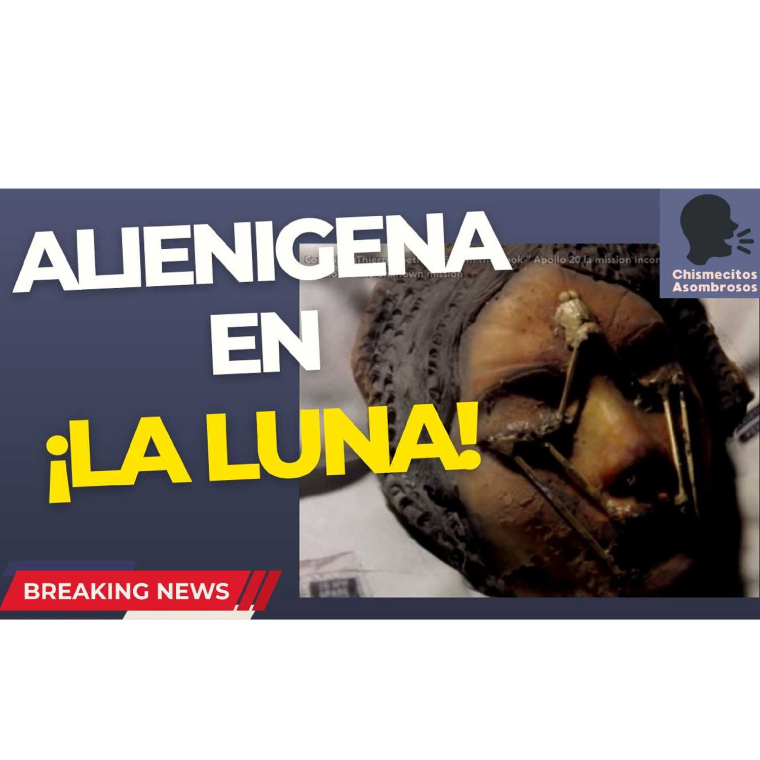Chismecitos Asombrosos