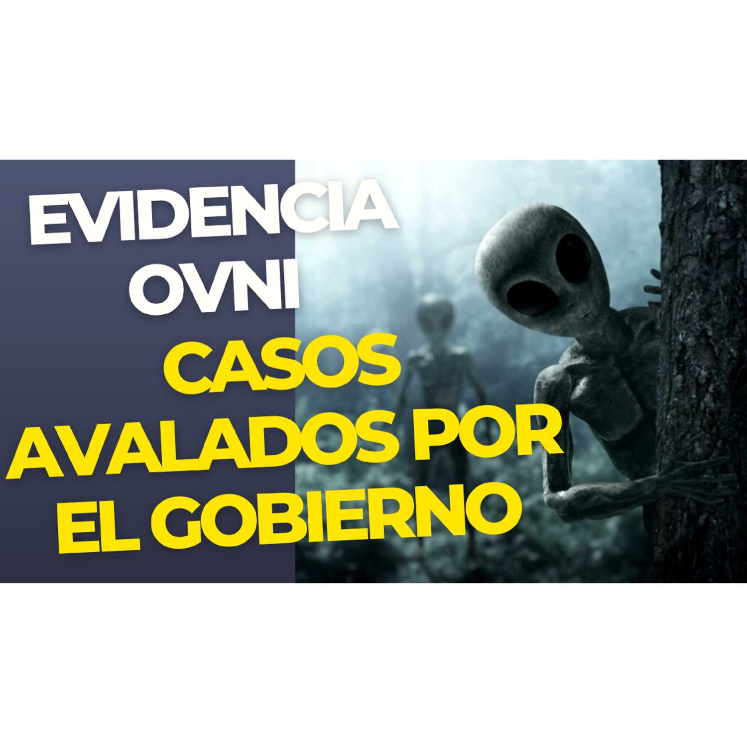 Chismecitos Asombrosos