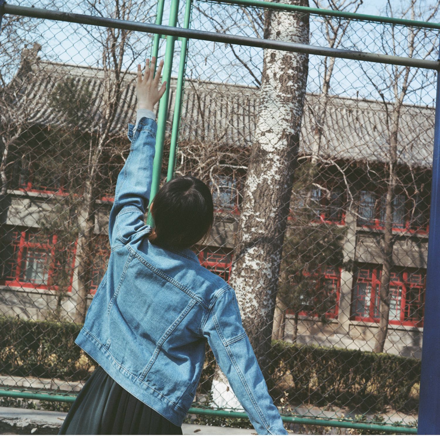 小蝶今天吃饱了 cover art