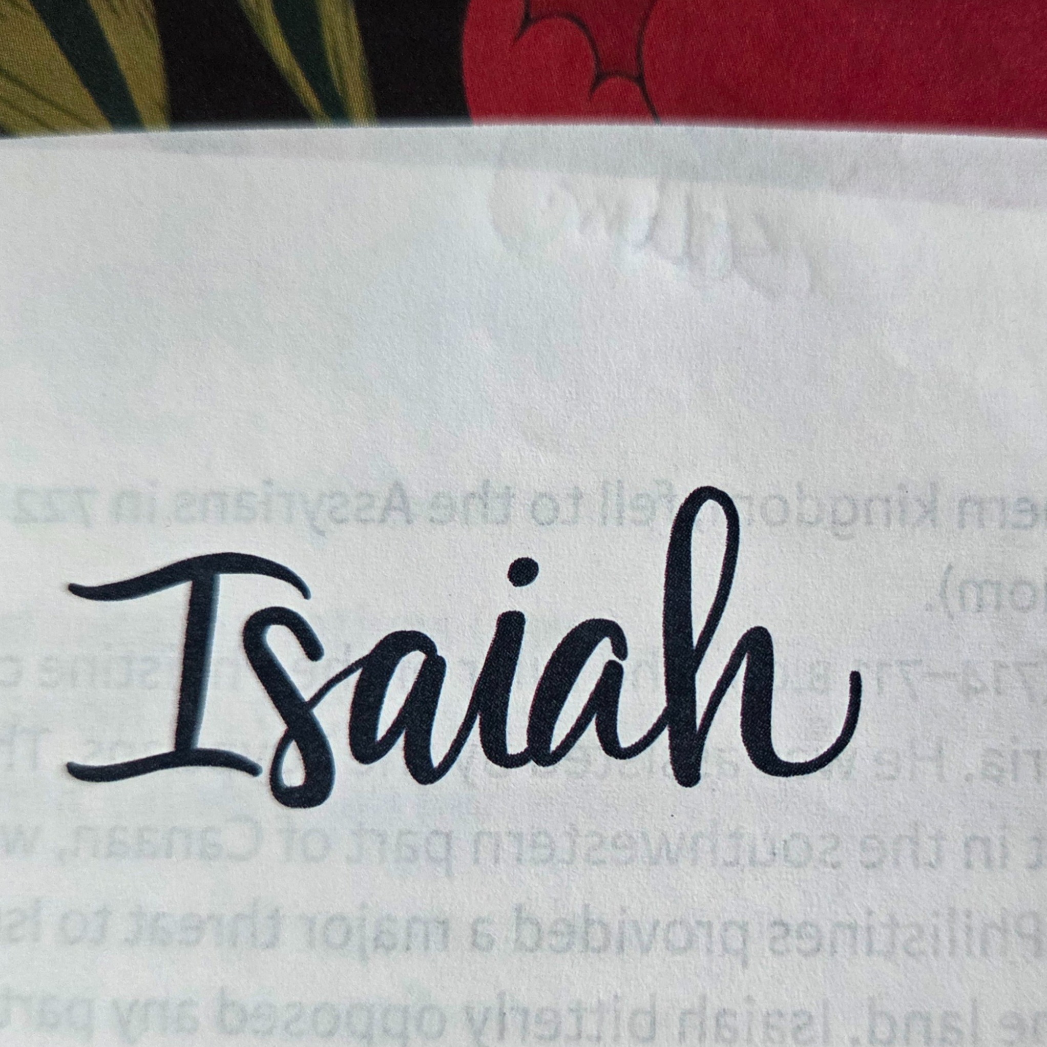 Isaiah 20-24 episode artwork