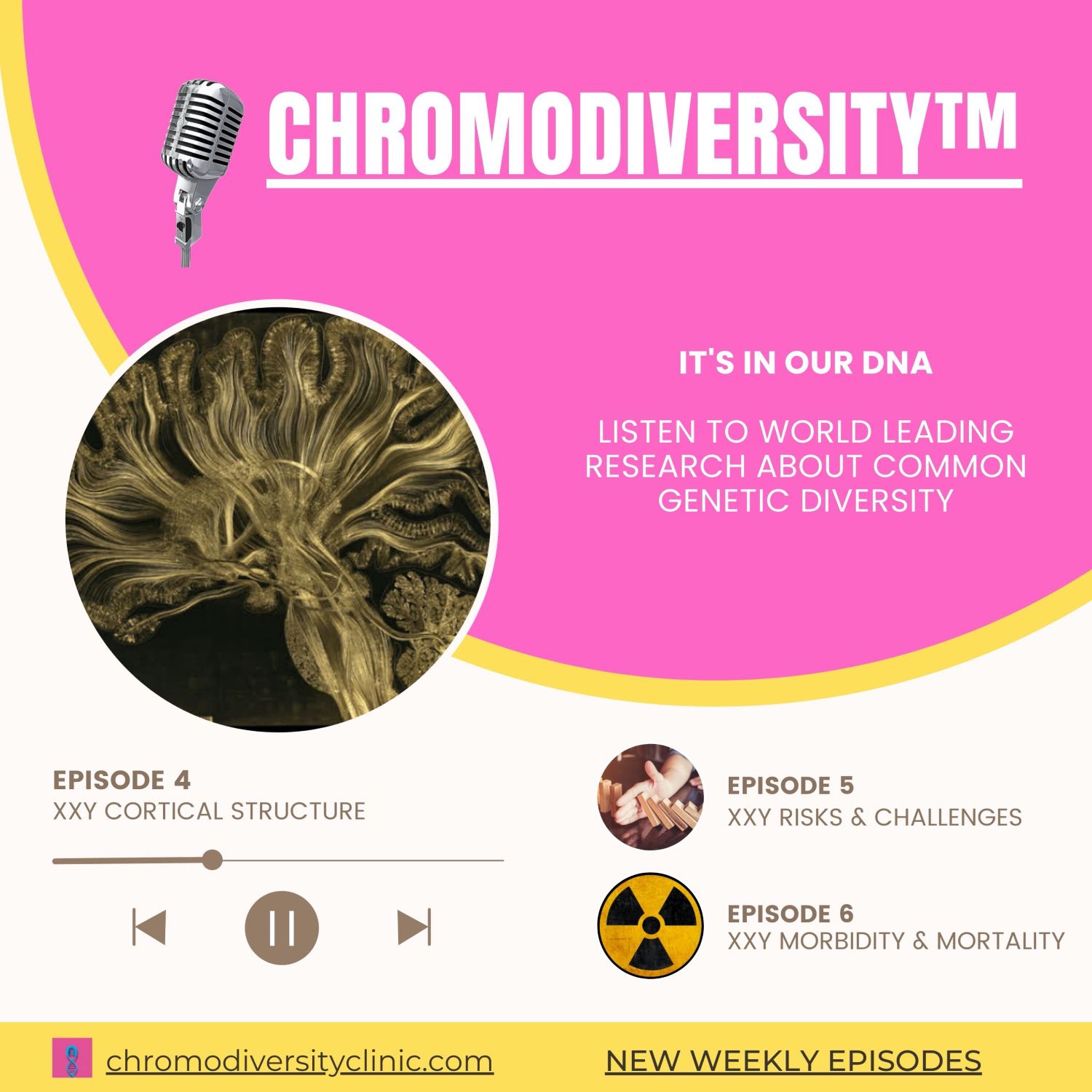 The Chromodiversity™ Podcast