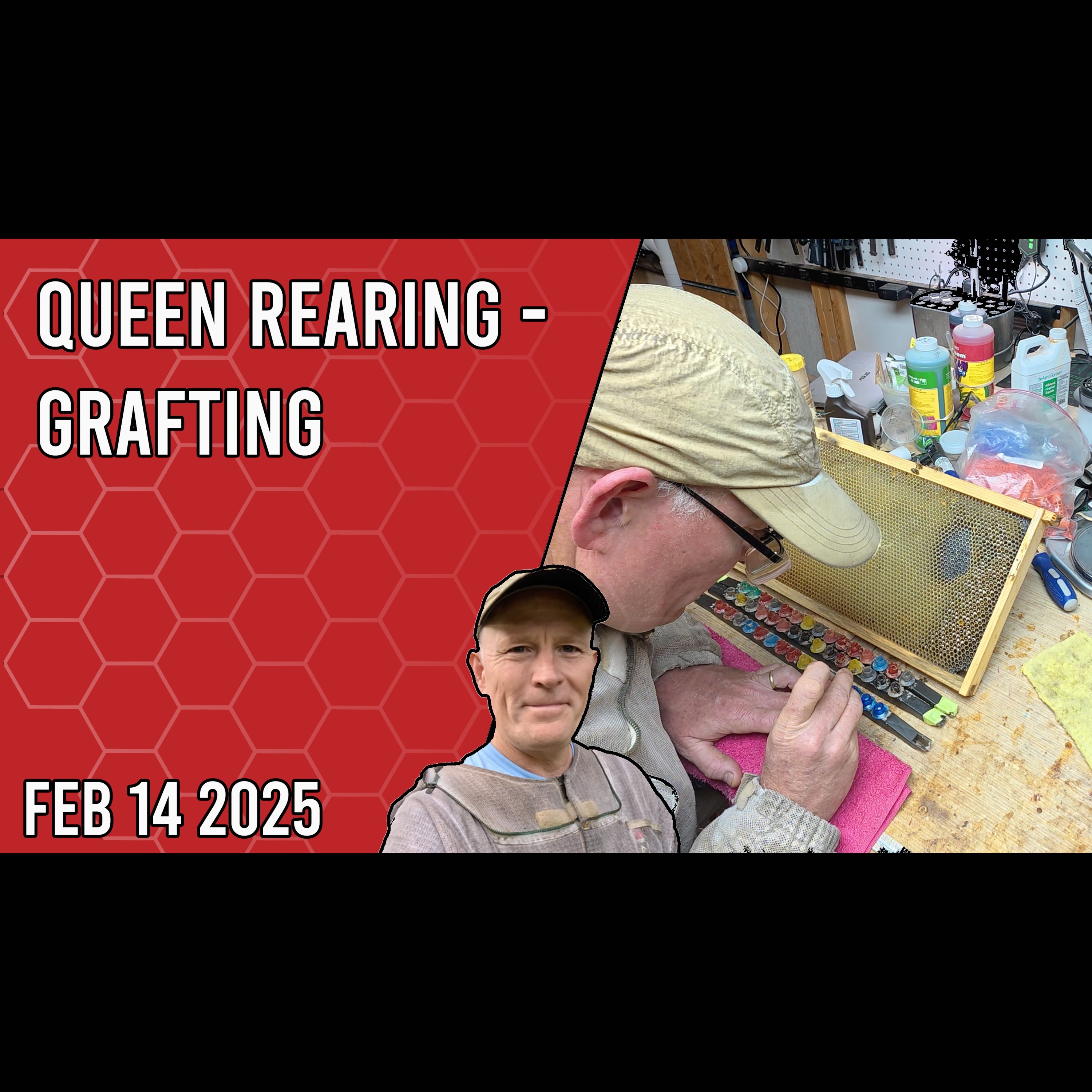 Beekeeping with Chuck - Queen Rearing - Grafting