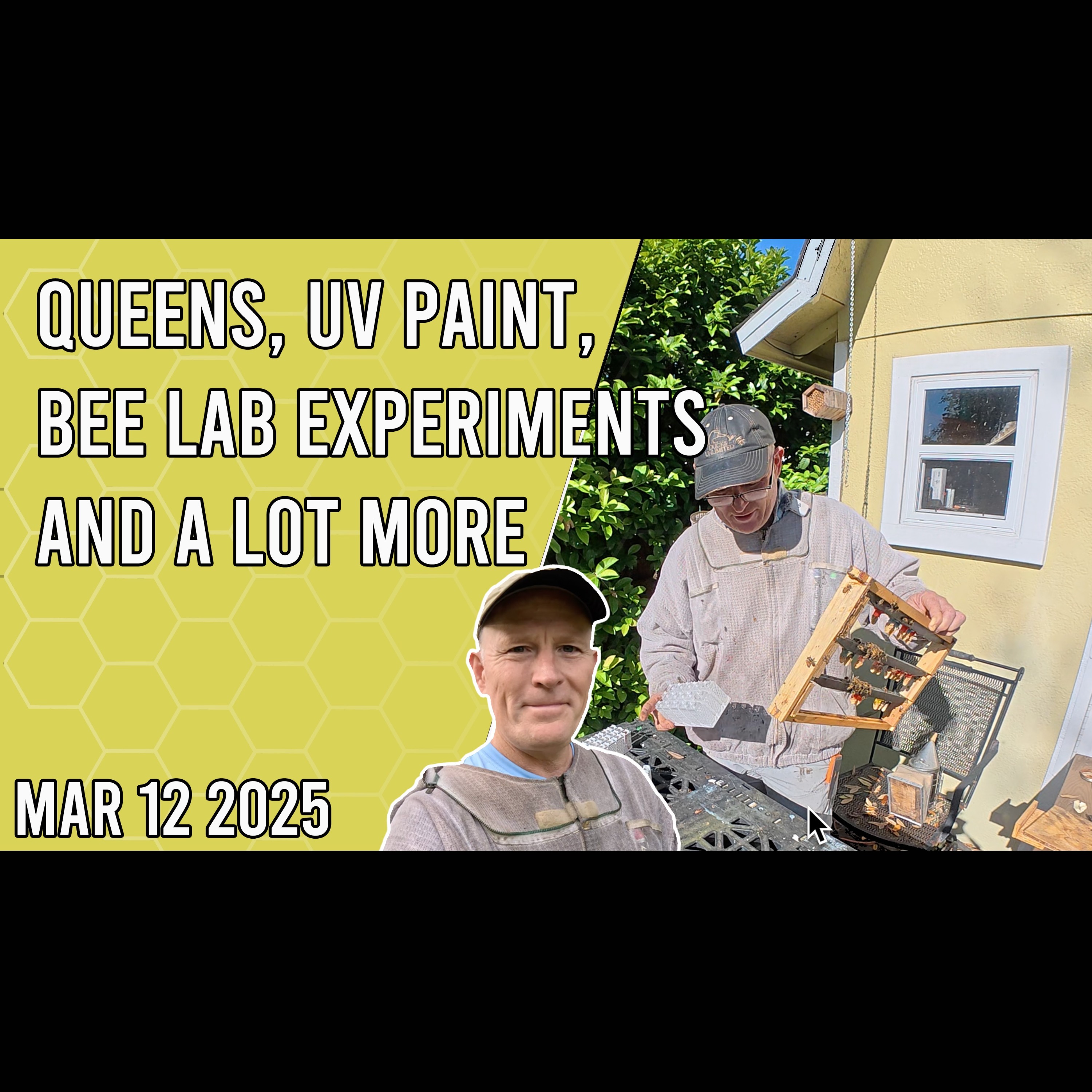 Beekeeping with Chuck - Queens, UV Paint, Bee Lab Experiments and a Lot More!