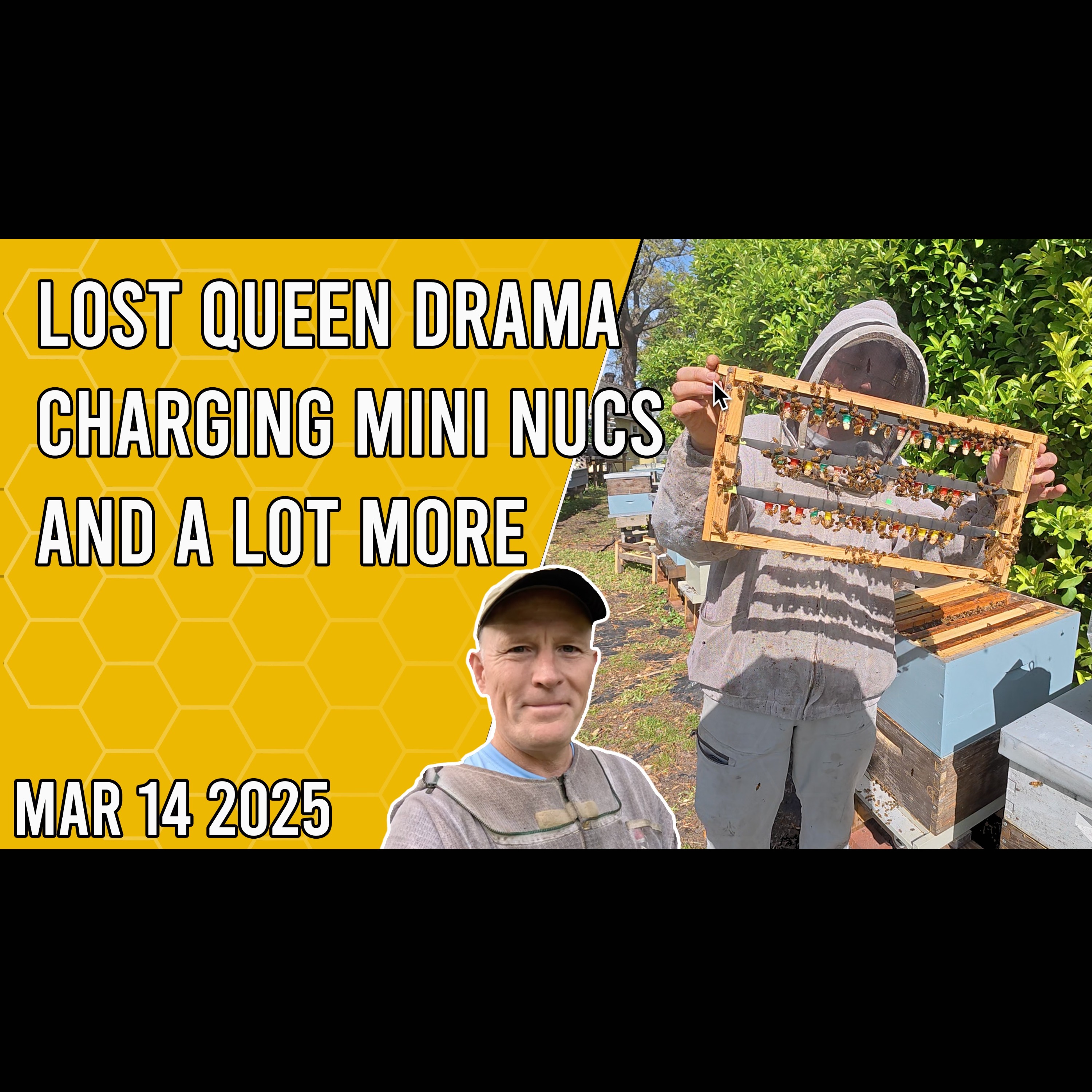 Beekeeping with Chuck - Lost Queen Drama, Charging Mating Nucs and a Lot More!