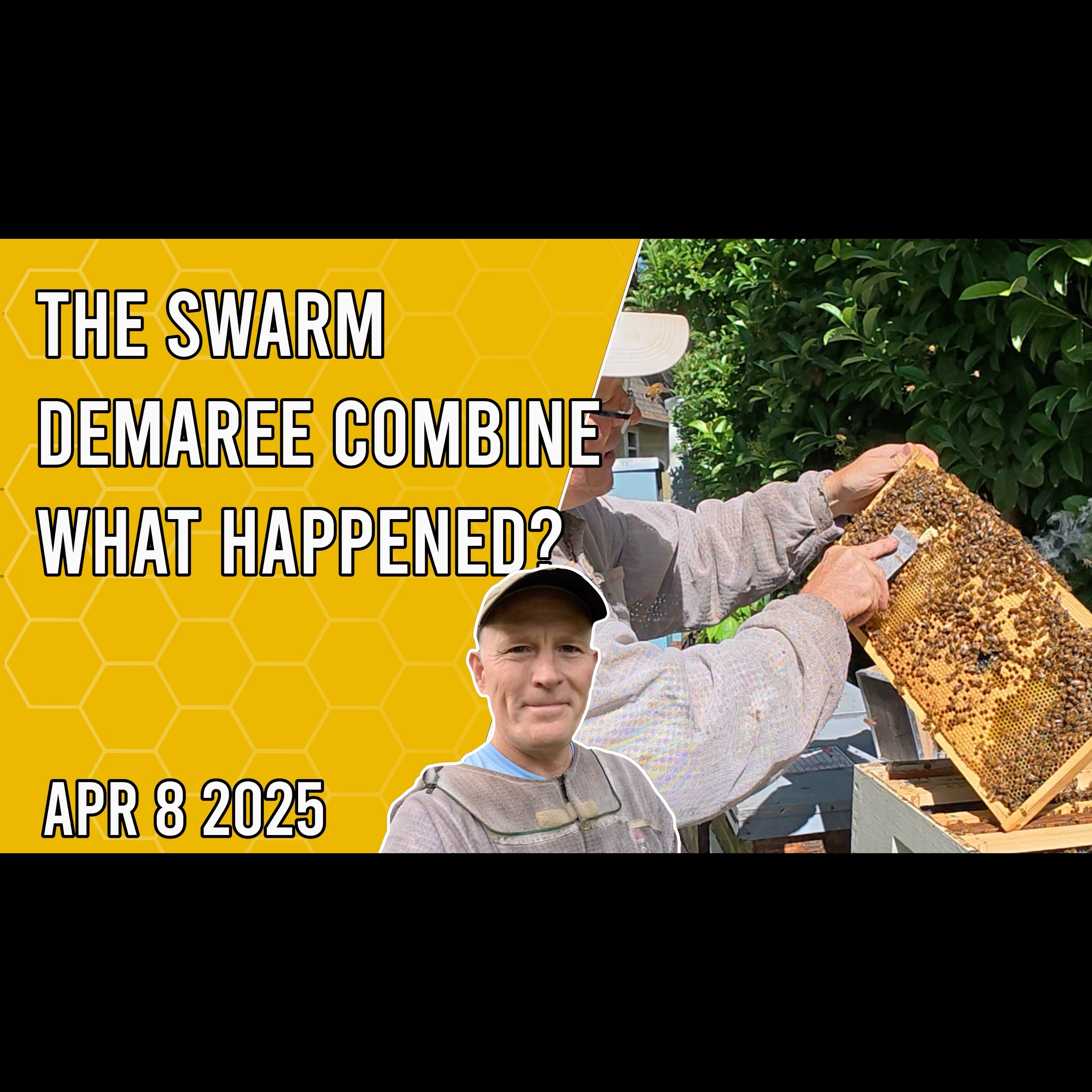 Beekeeping with Chuck - The Swarm Demaree Combine - What happened?