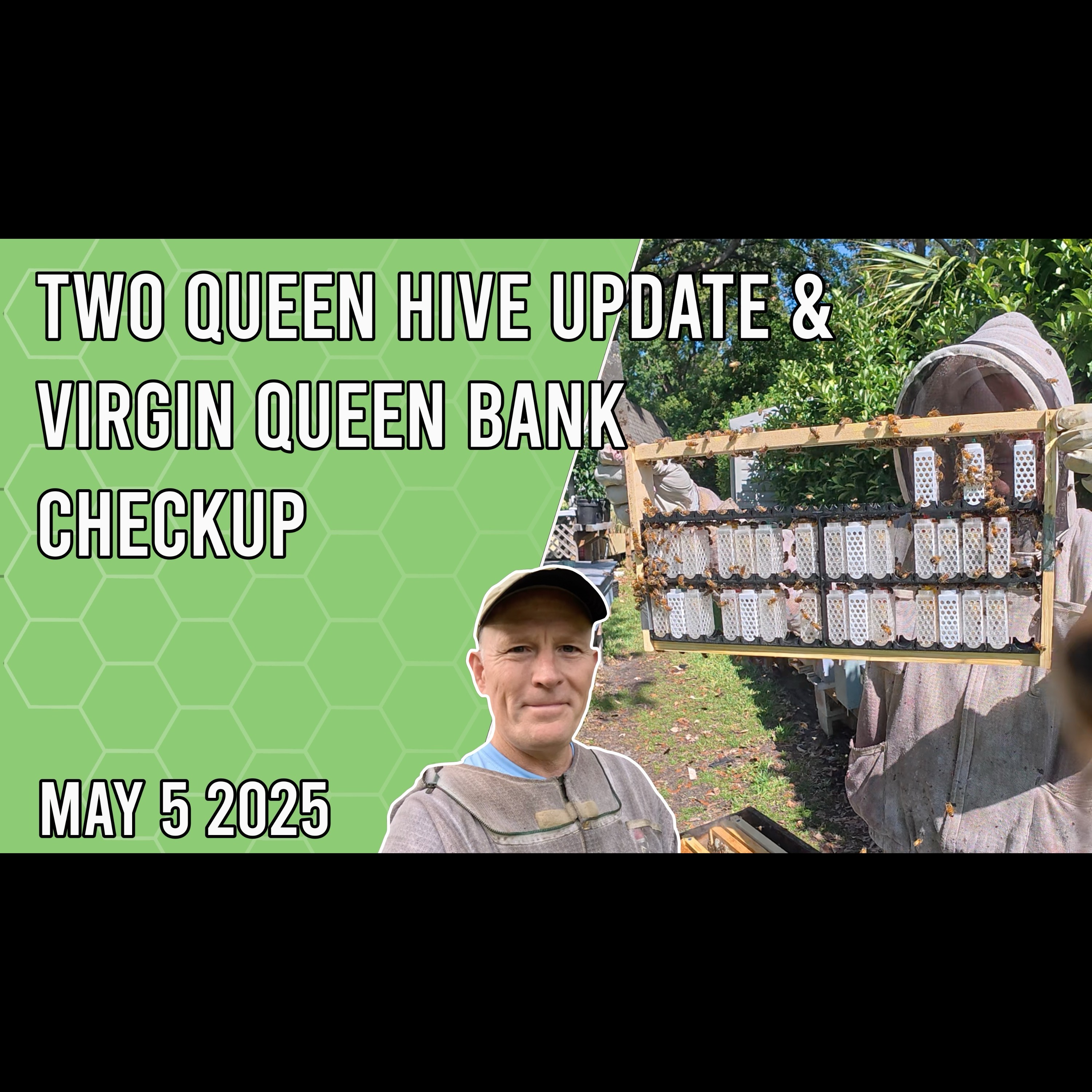 Beekeeping with Chuck - Two Queen Hive Update and Virgin Queen Bank Checkup
