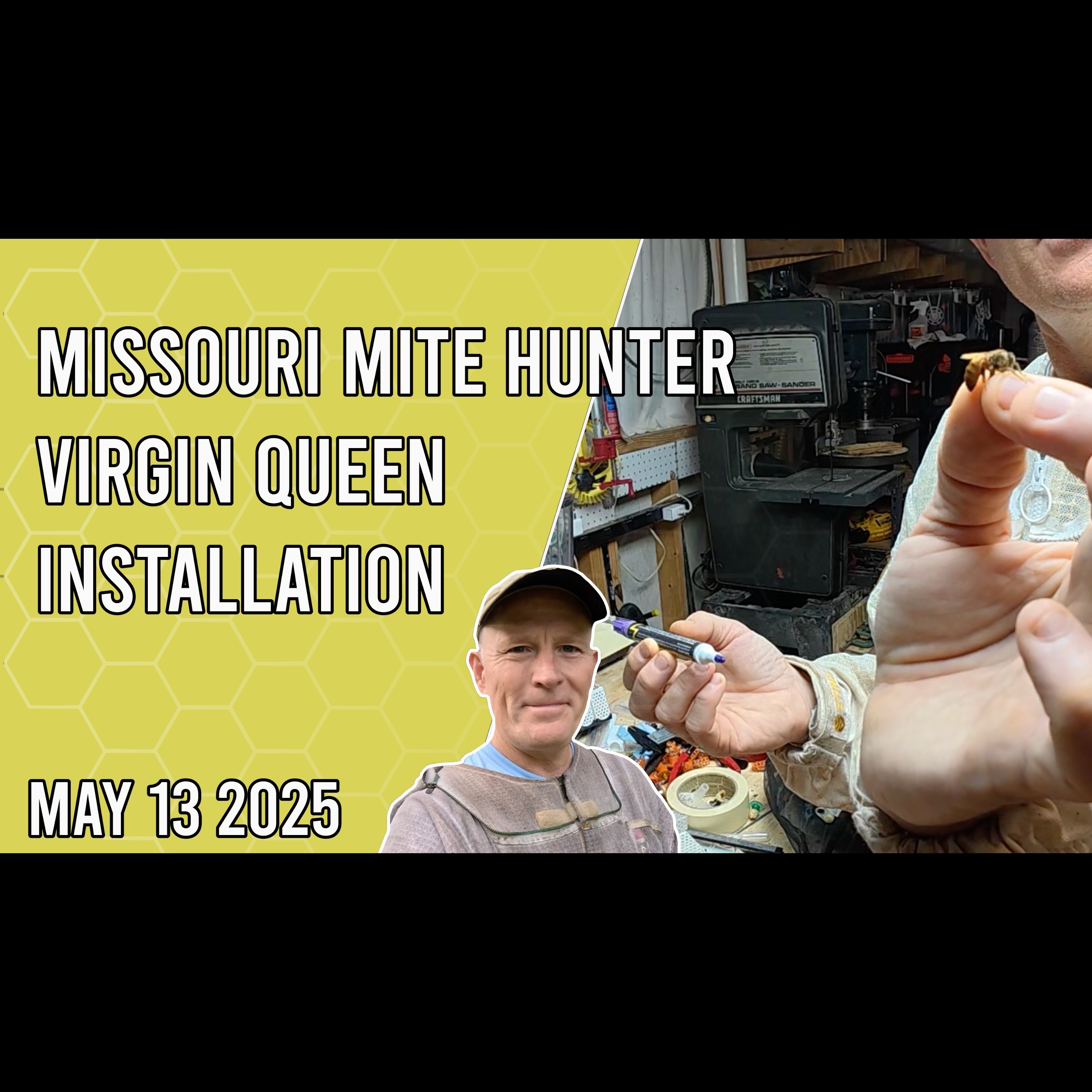 Beekeeping with Chuck - Missouri Mite Hunter Virgin Queen Install