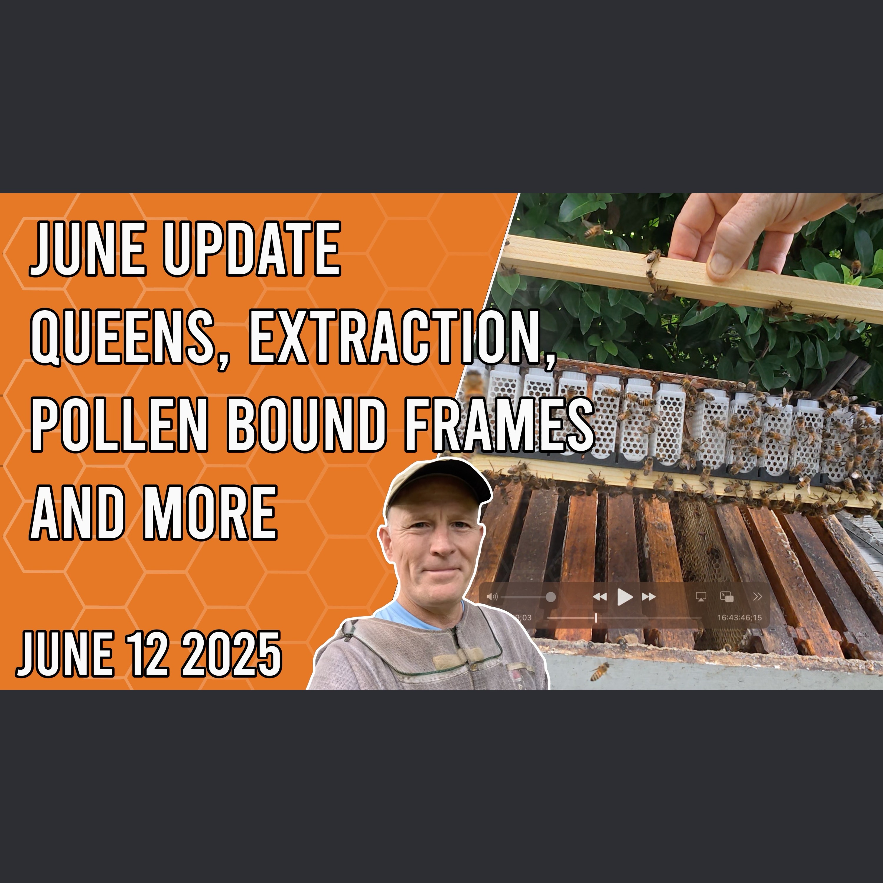 Beekeeping with Chuck - June Update - Queens, Extraction, Pollen Bound Fraes and More