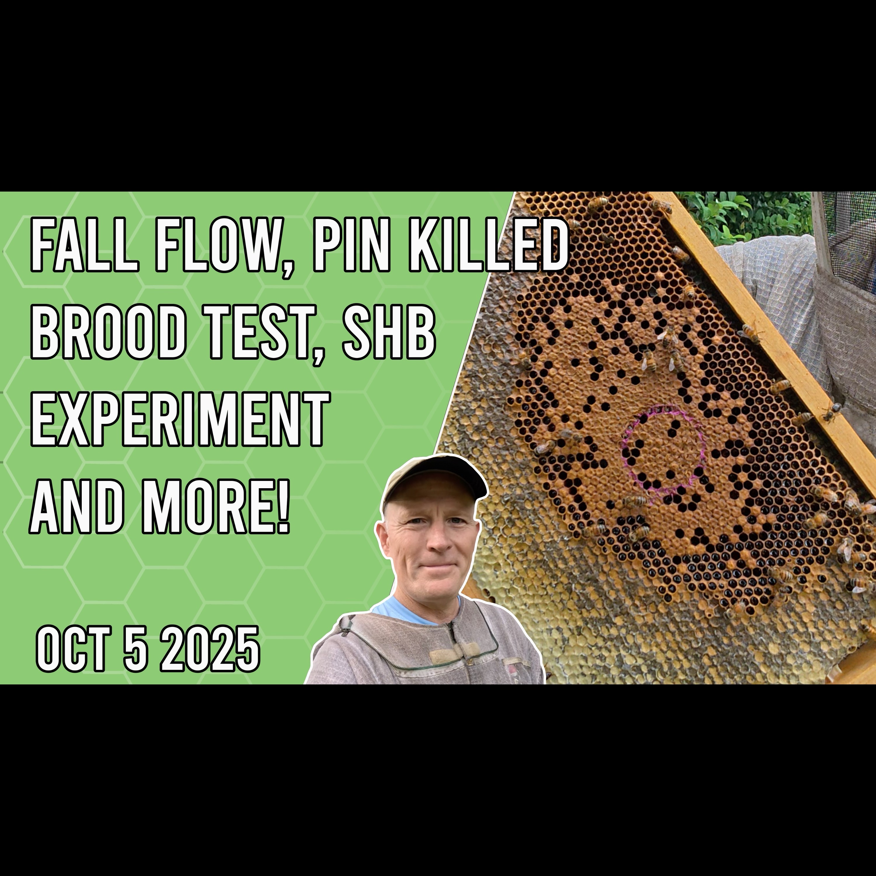 Fall Flow, Pin Killed Brood Test, Small Hive Beetle Experiment and More!