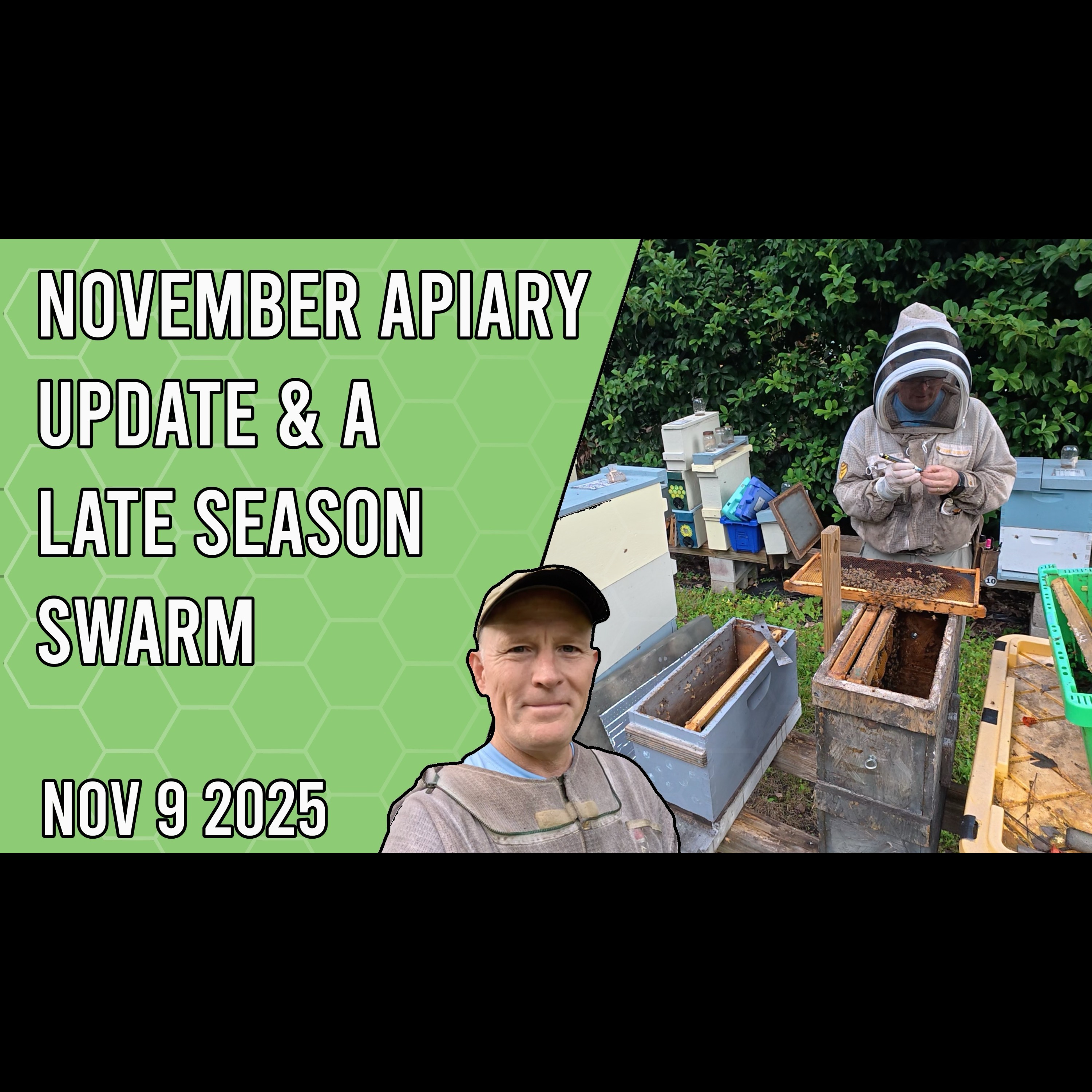 Beekeeping with Chuck - November Apiary Update & A Late Season Swarm