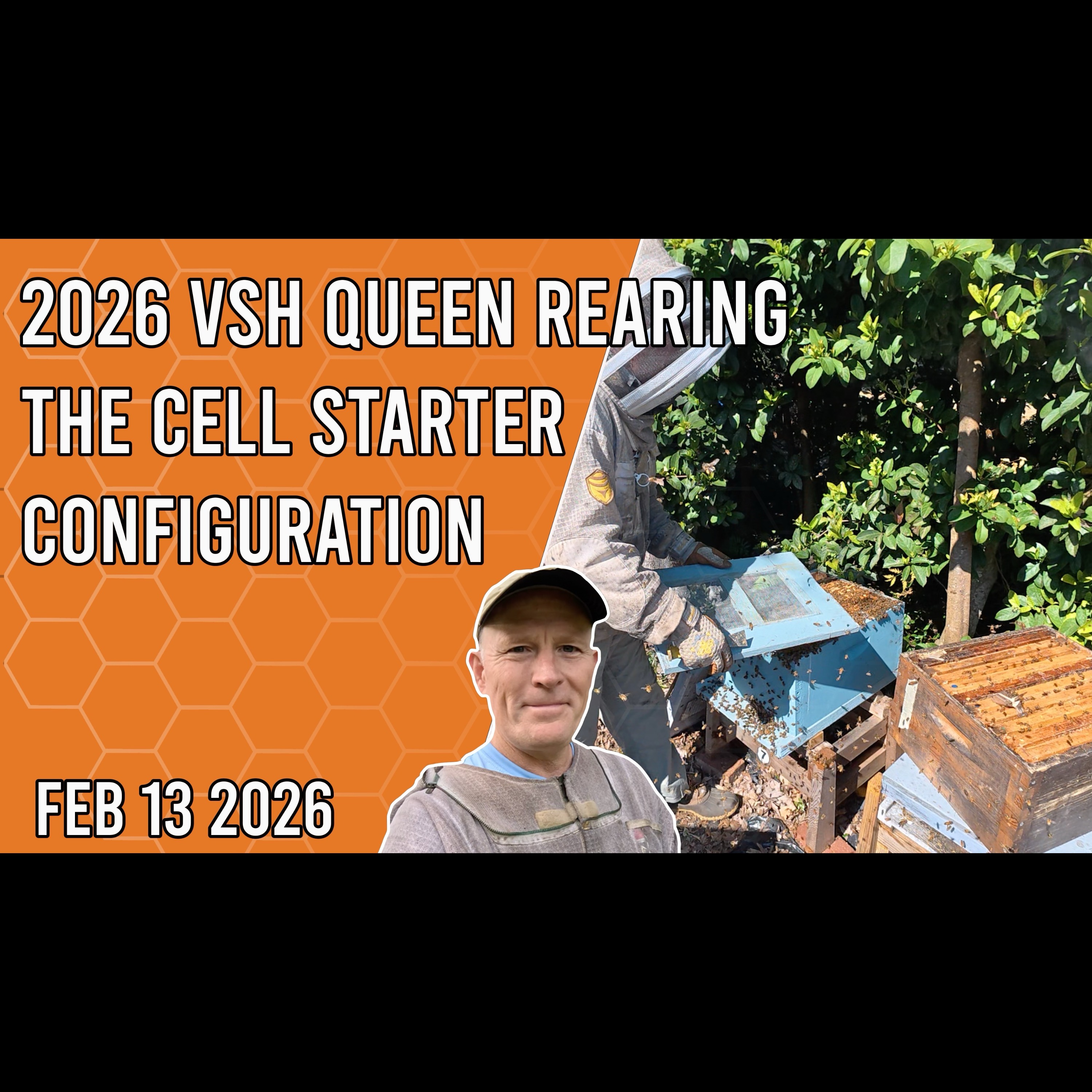 Beekeeping with Chuck - 2026 VSH Queen Rearing - The Cell Starter Configuraiton