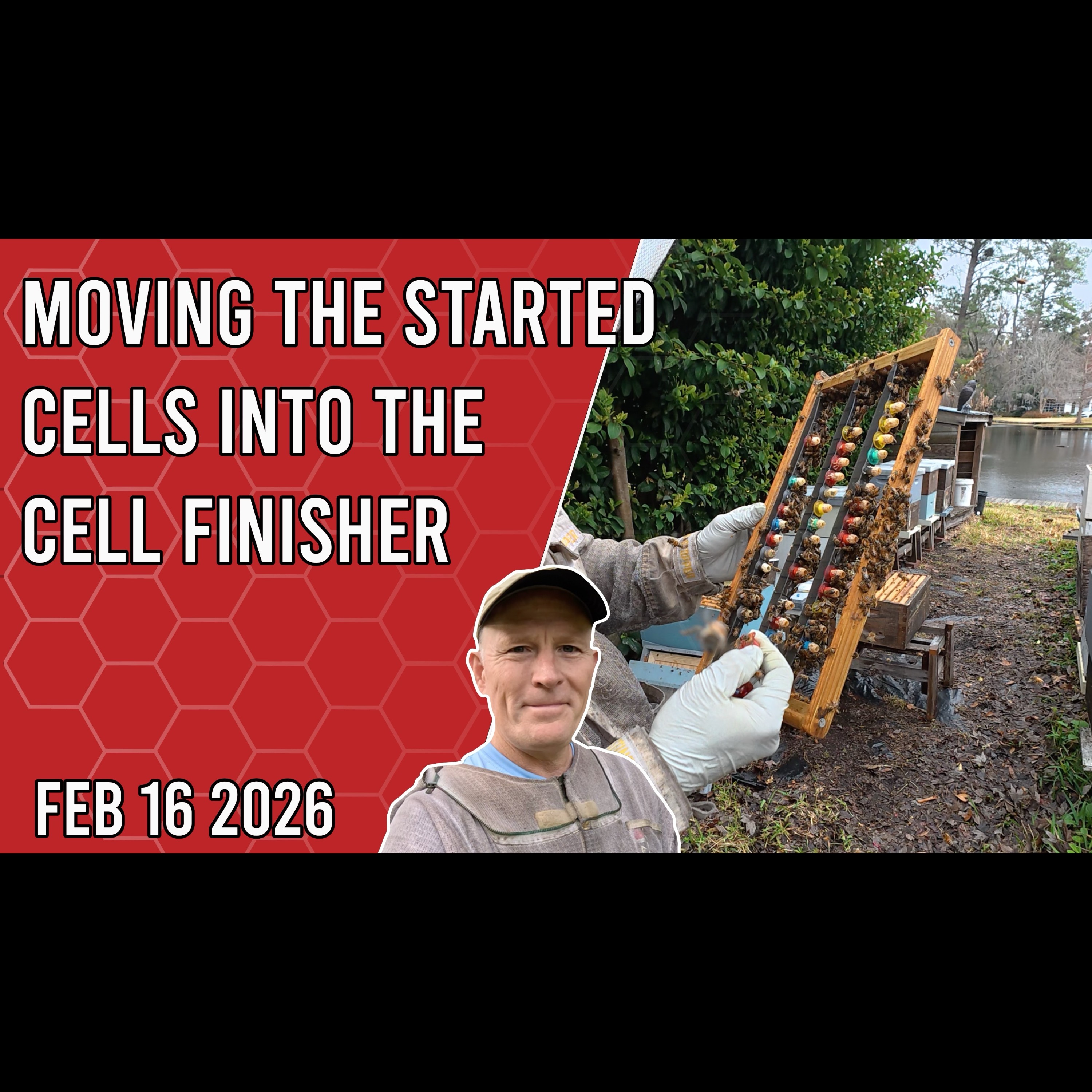 Moving the Started Cells into the Cell Finisher