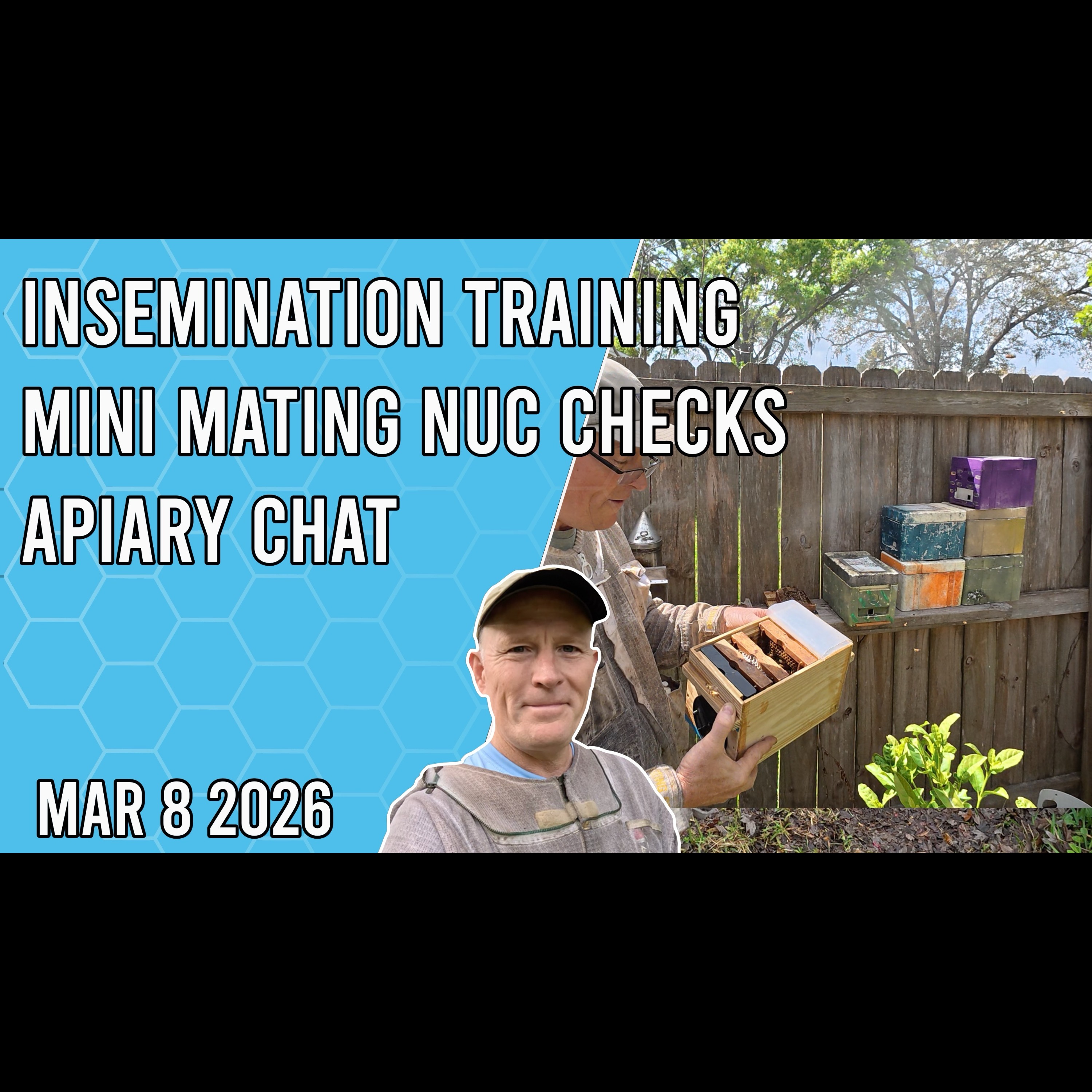 Instrumental Insemination Training, Mini Mating Nuc Checks and Apiary Chat