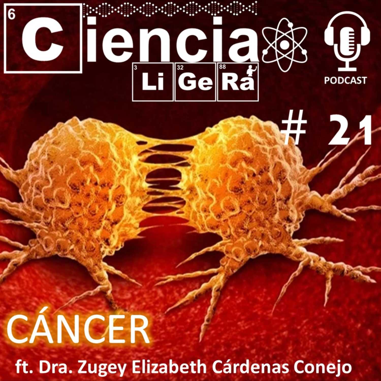 Ciencia Ligera