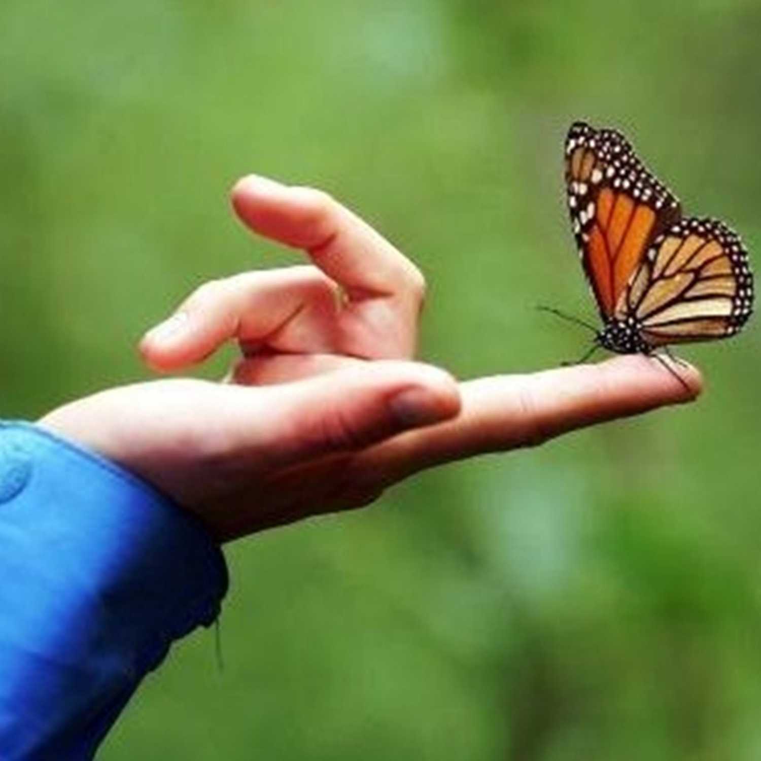 Cierre exposición website grupo N°12