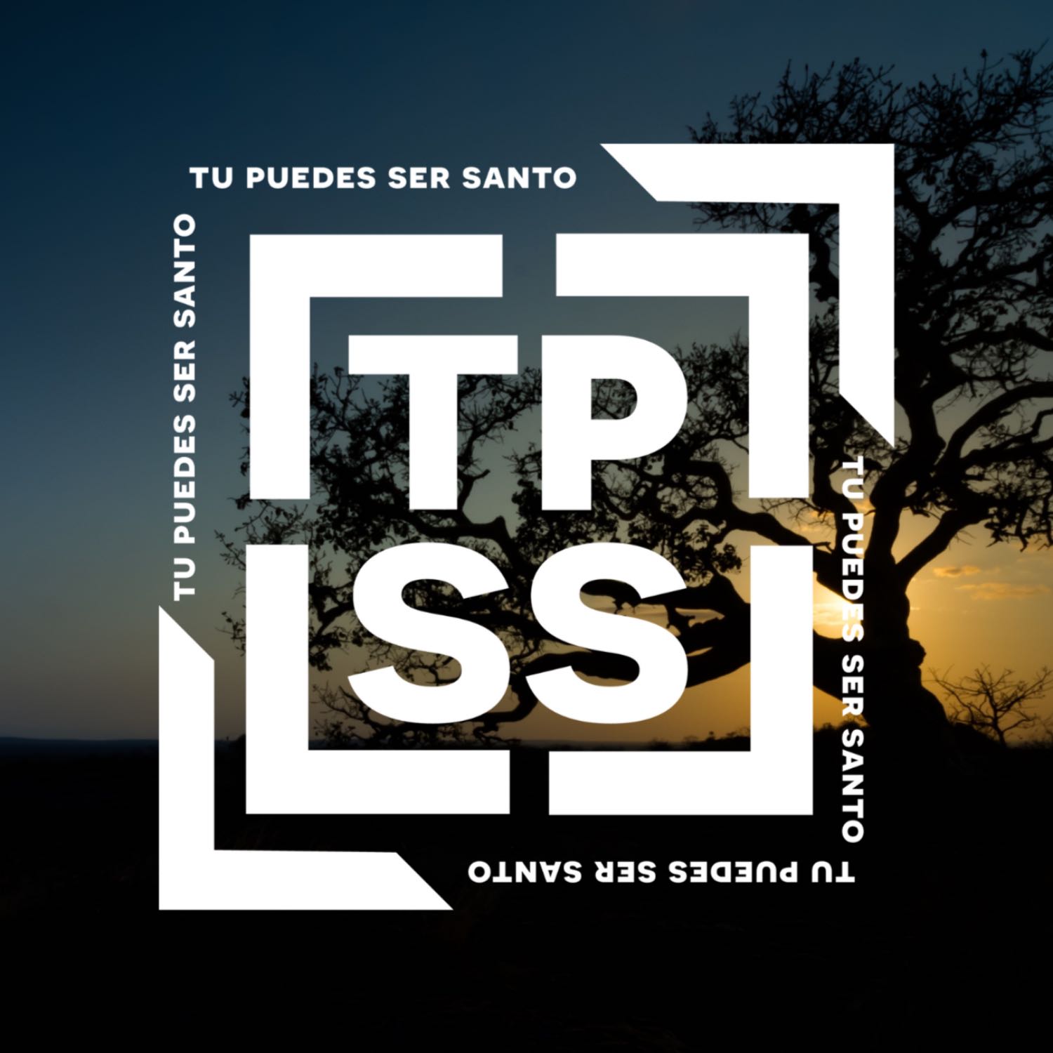 Tú Puedes Ser Santo