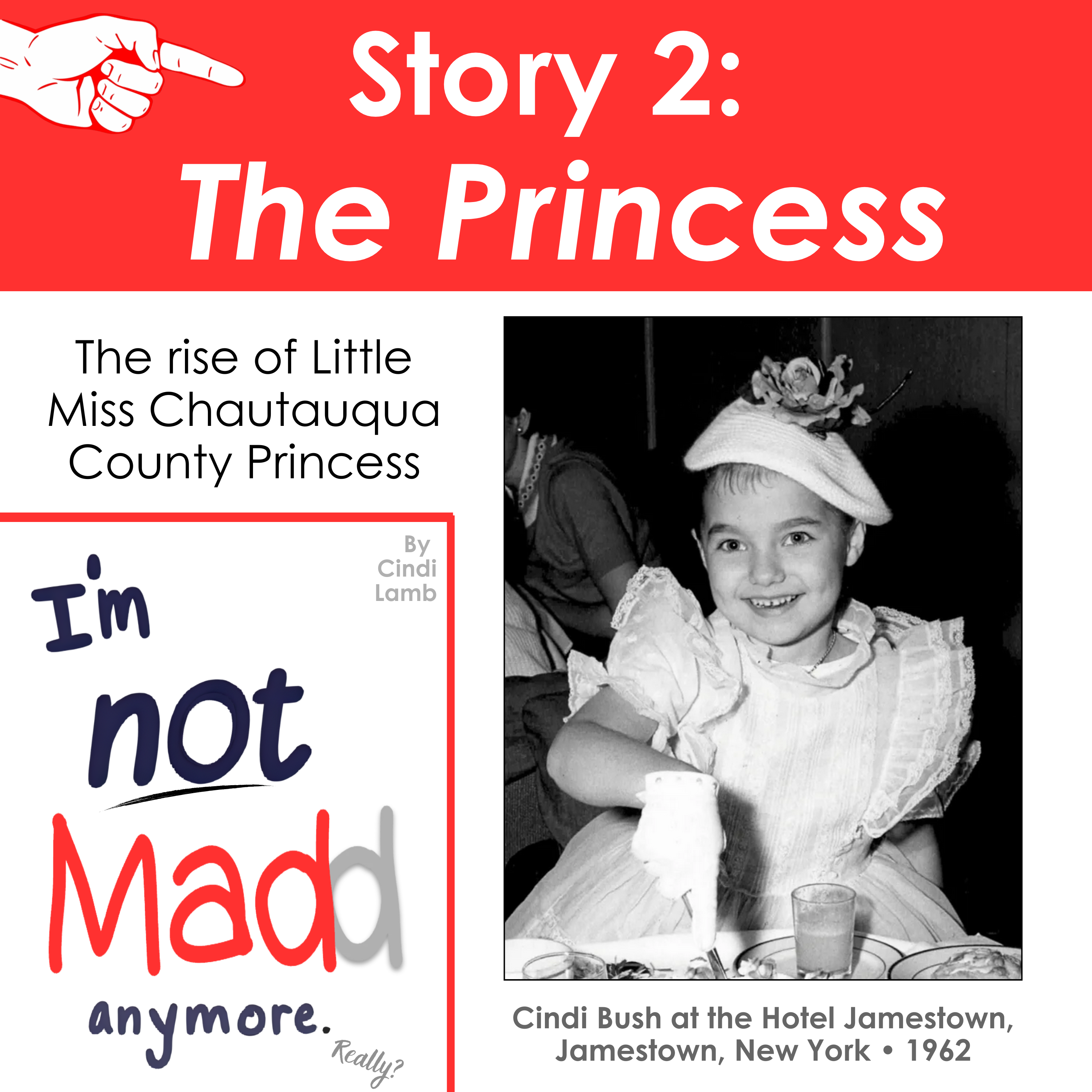 Story 2: The Princess From "I'm not madd anymore." By Cindi Lamb  episode artwork