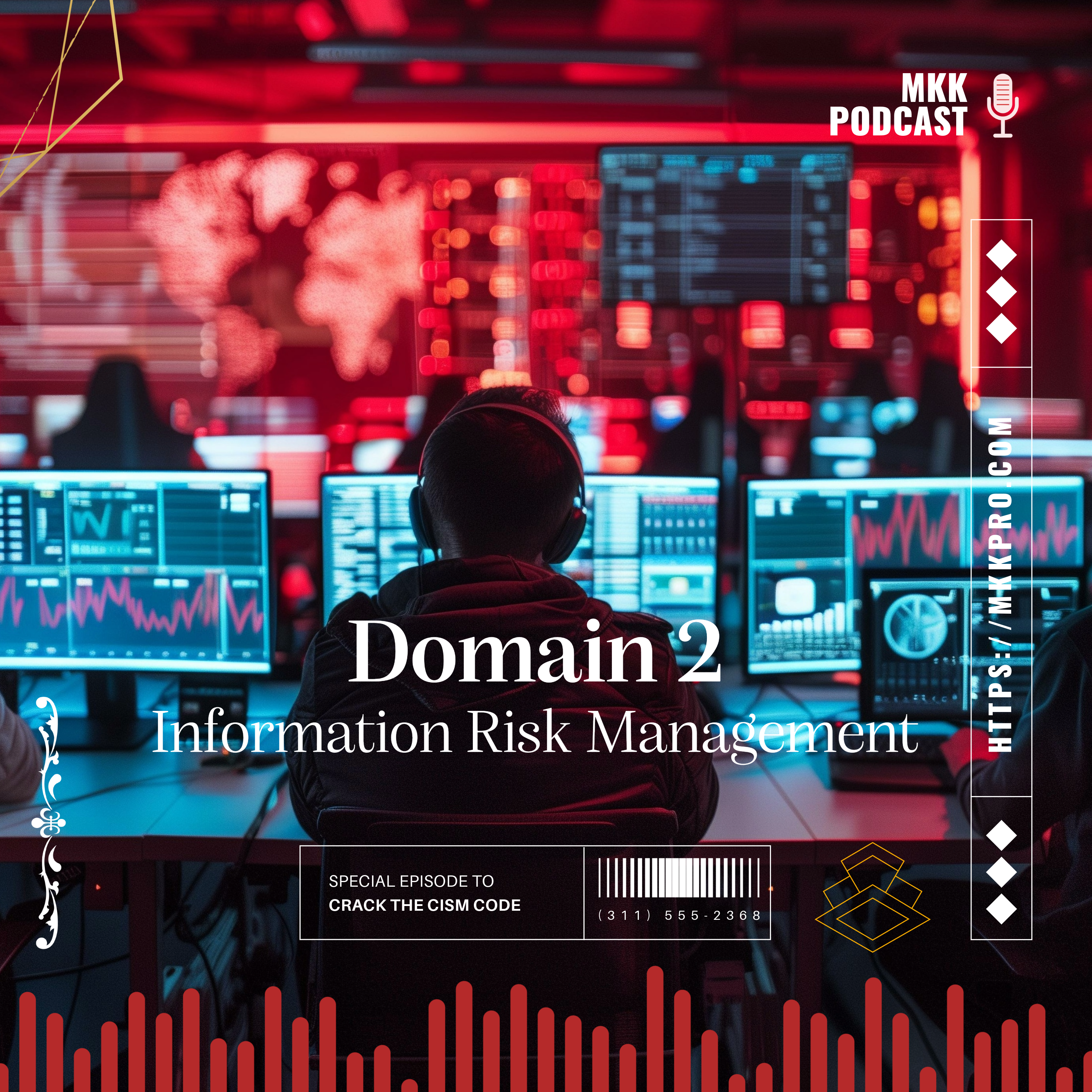 Domain2: Information Risk Management episode artwork