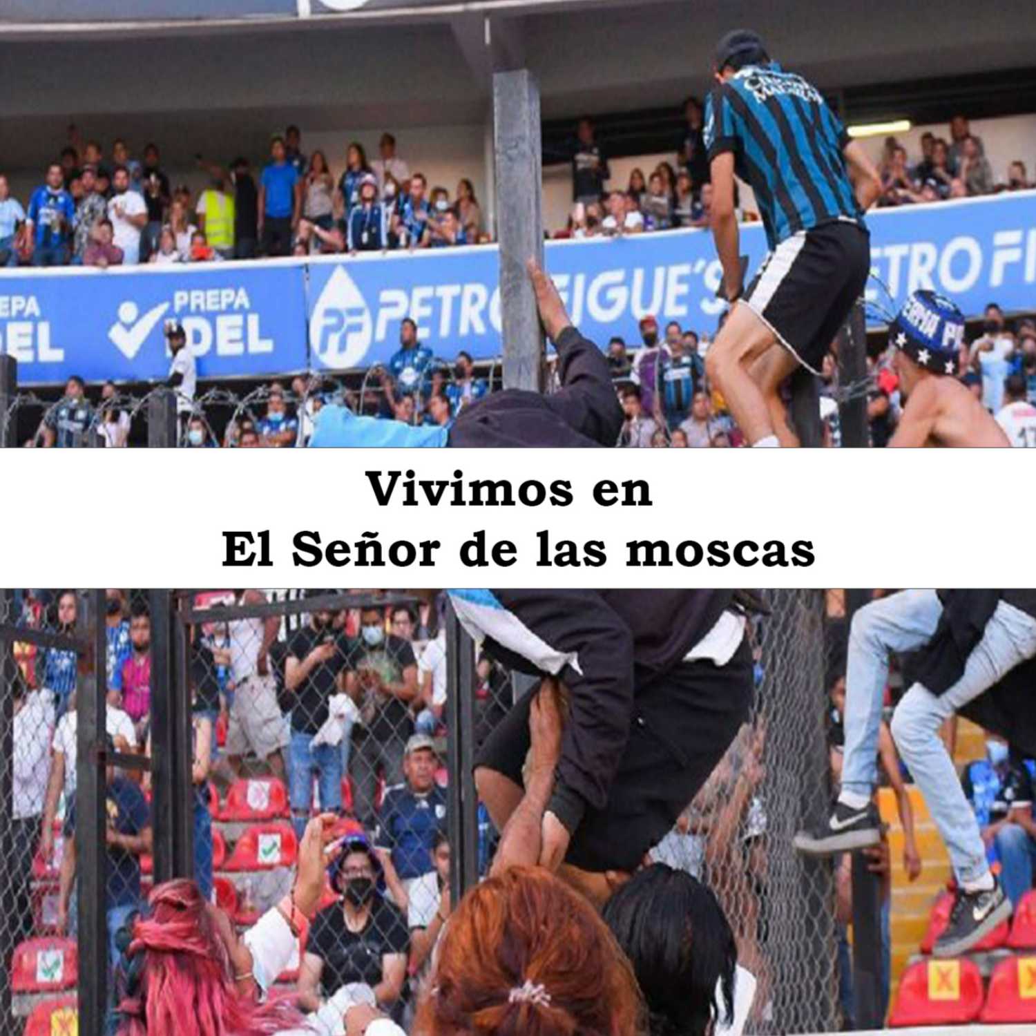 Cisne, el podcast.