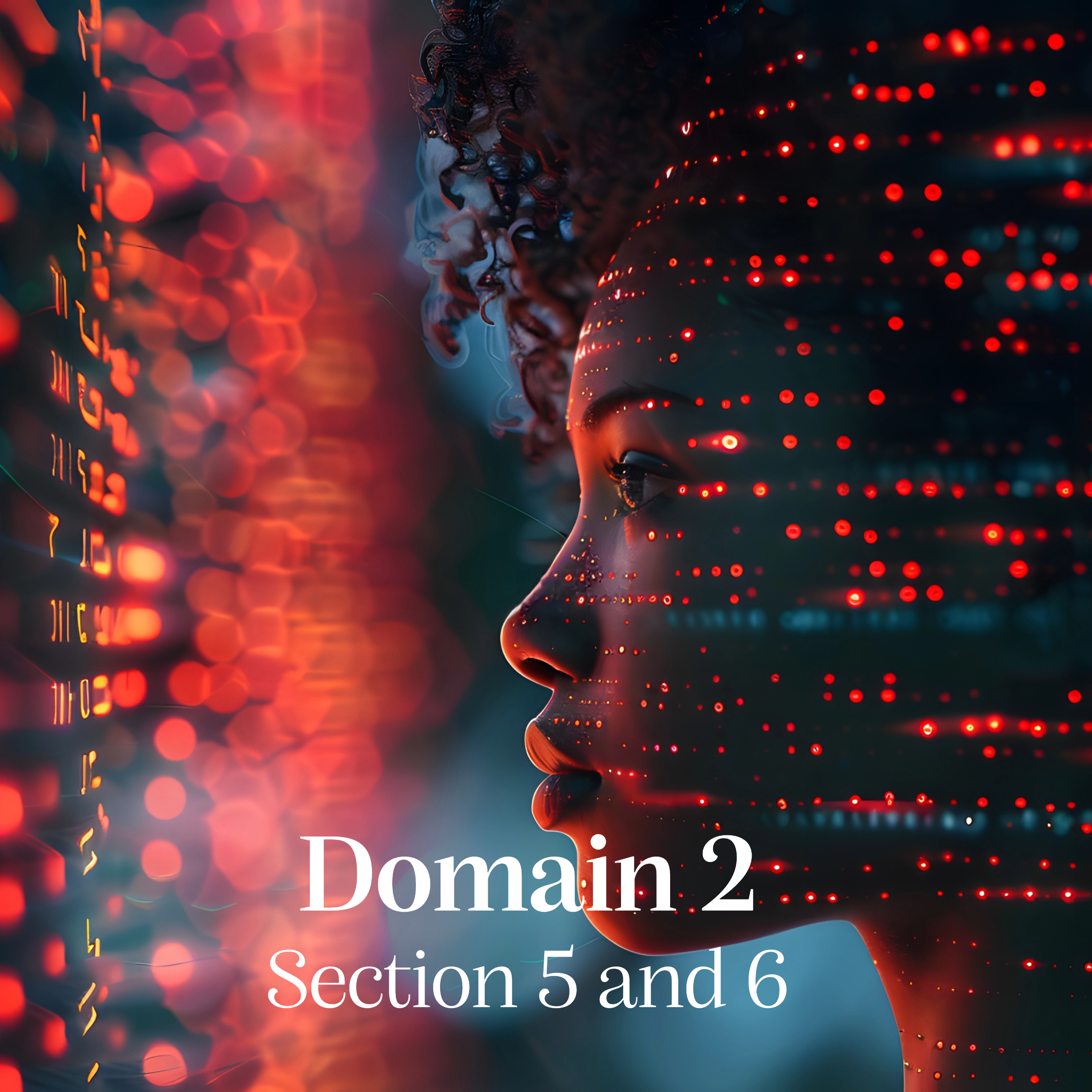 CISSP Domain2 Section 5 and 6 episode artwork