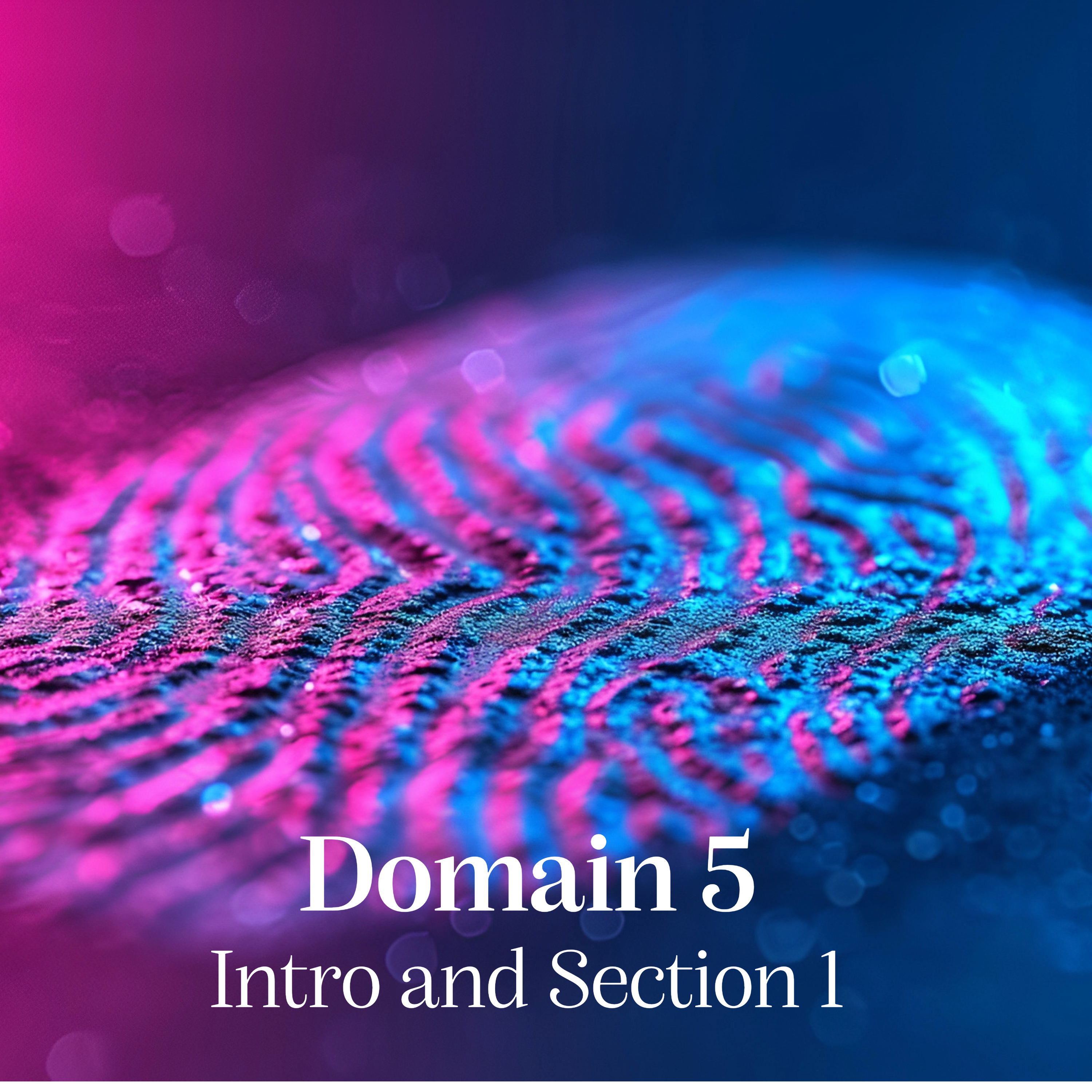 CISSP Domain5 Intro and Section 1 episode artwork