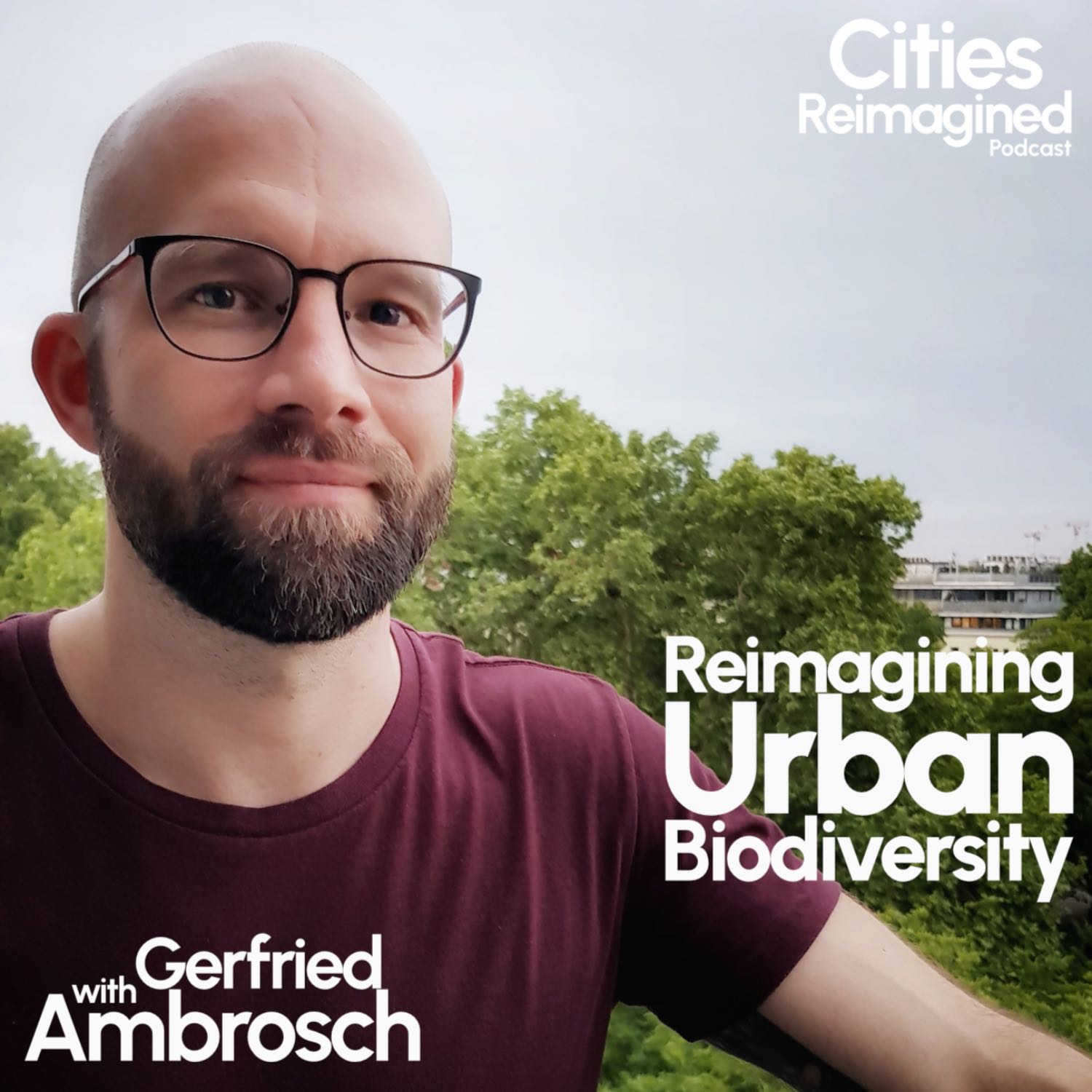 Cities Reimagined