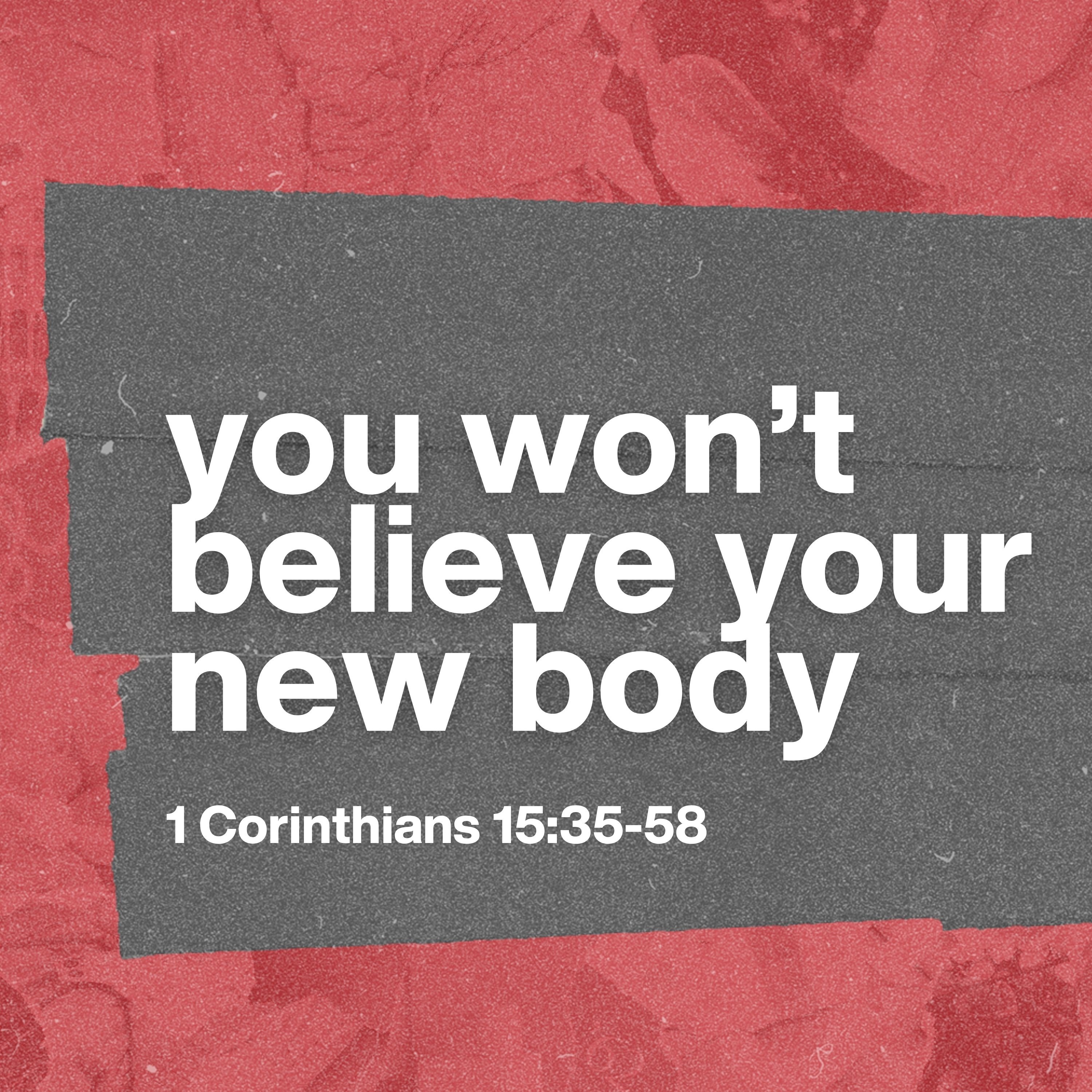 You Won't Believe Your New Body | CHURCH IN CHAOS | 1 Corinthians 15:35-58 episode artwork