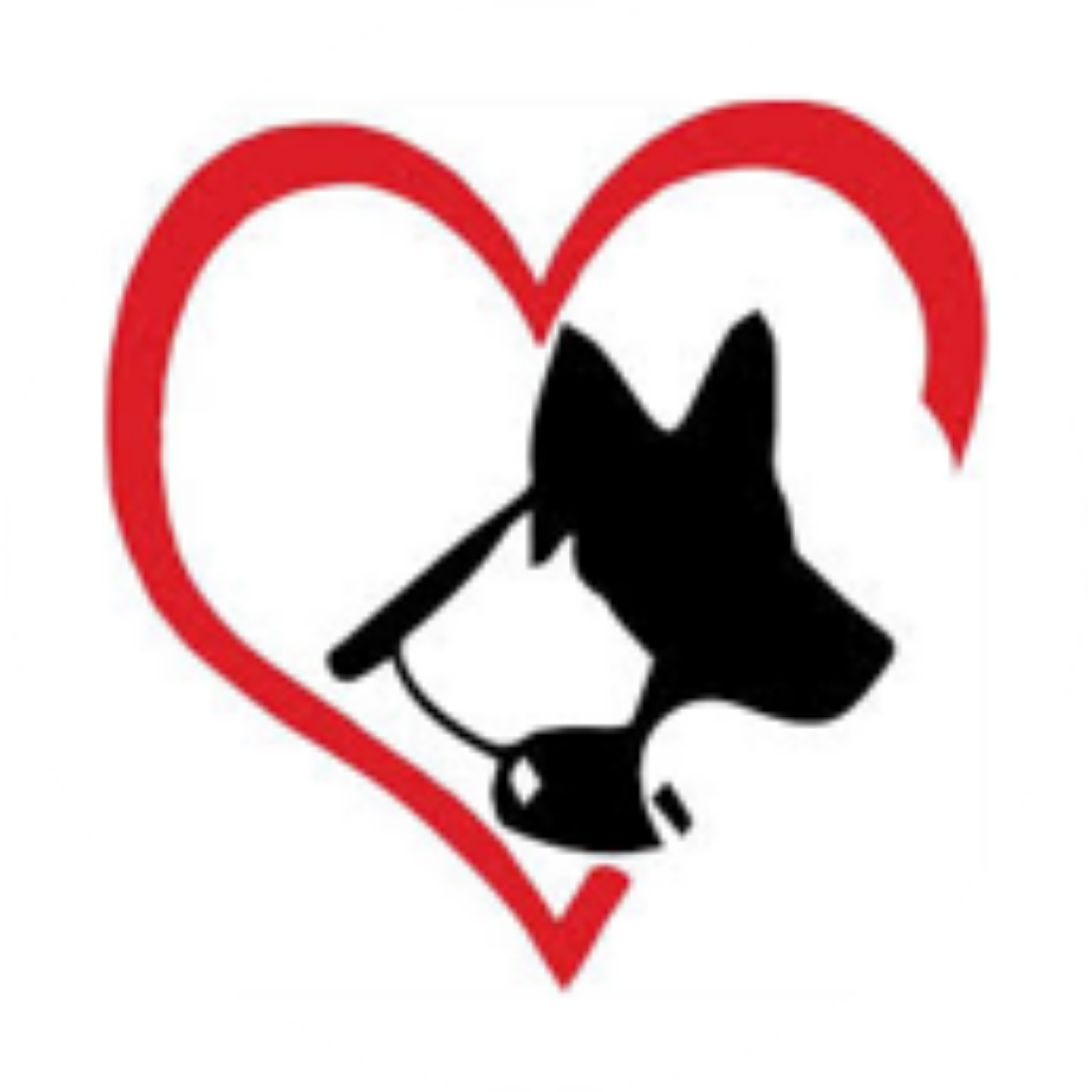Pet Care Podcast