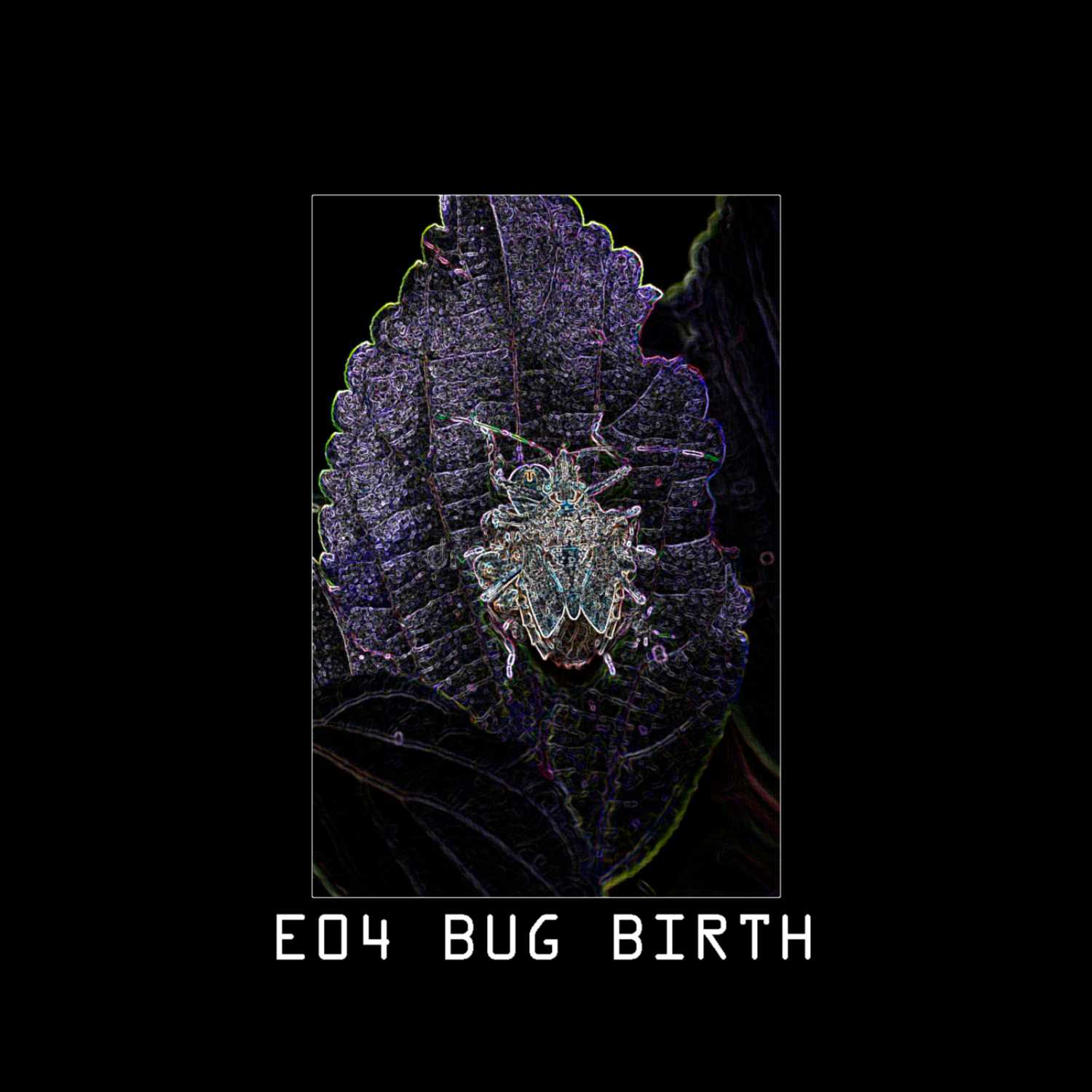 E04 Bug Birth