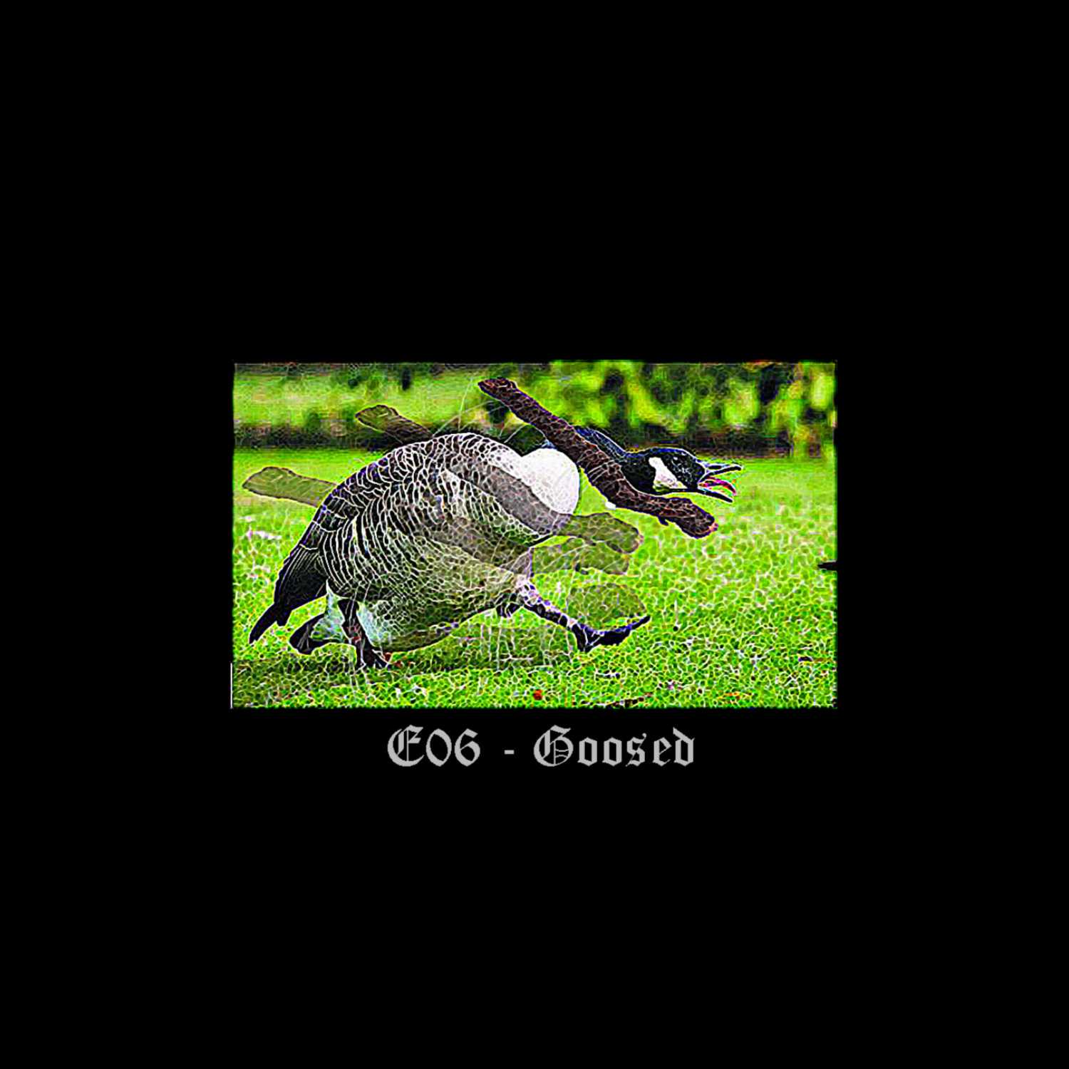 E06 - Goosed