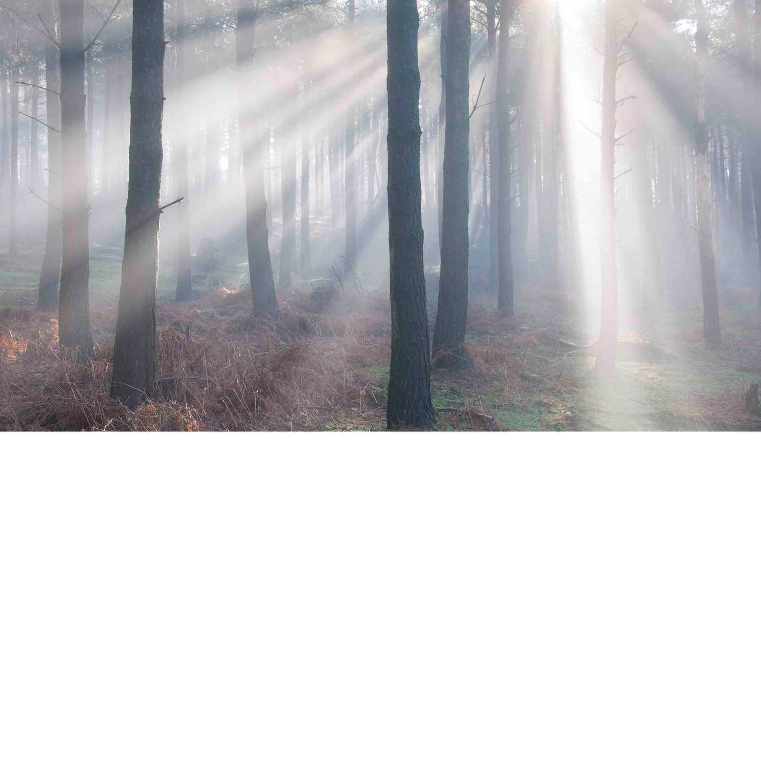 Clearing The Fog podcast artwork