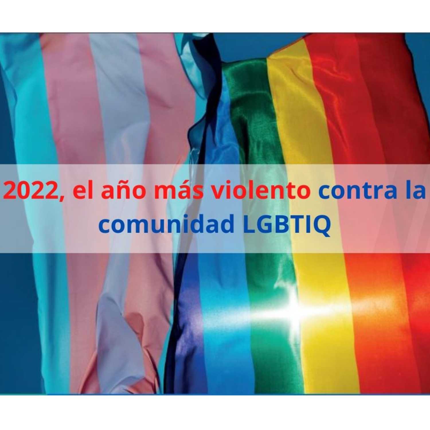 Comité por la Libre Expresión (C-Libre)