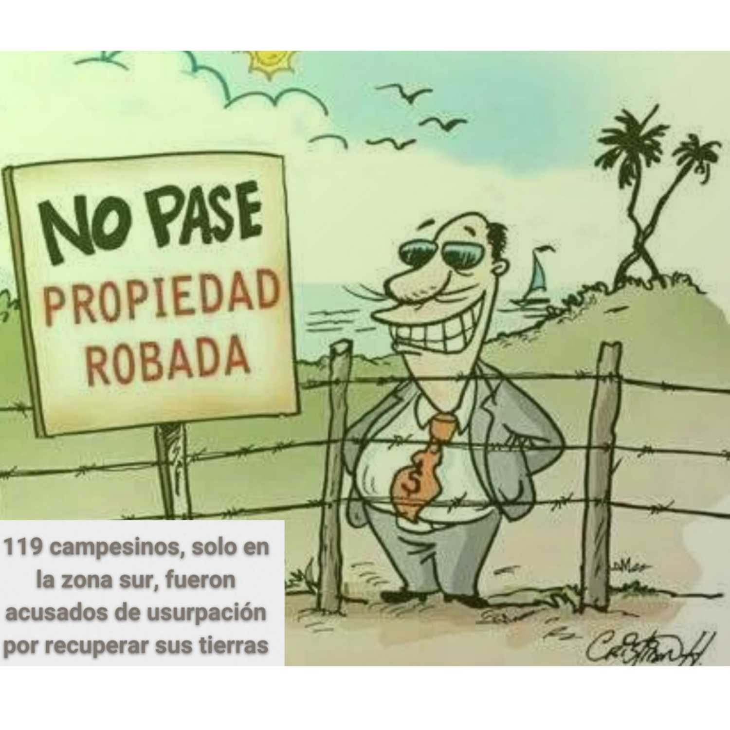 Comité por la Libre Expresión (C-Libre)